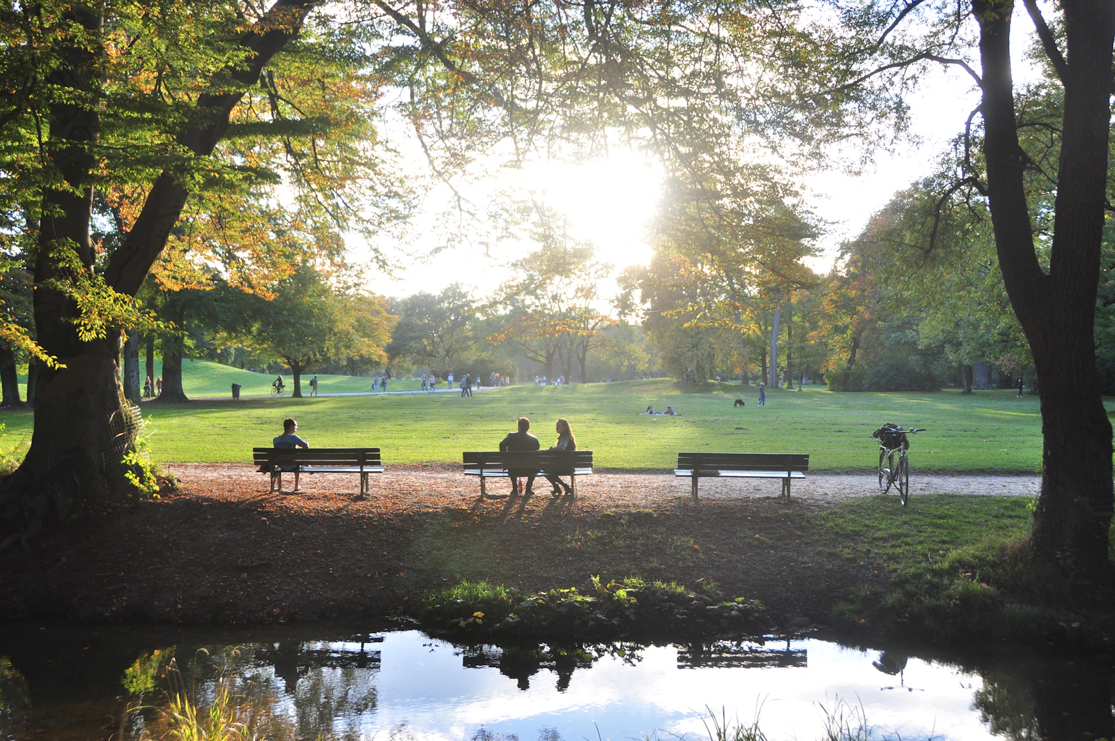 Park benches face a sunlit lawn beside a calm pond.