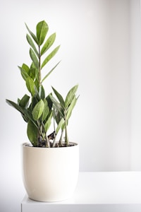 Speckled Clay Planter