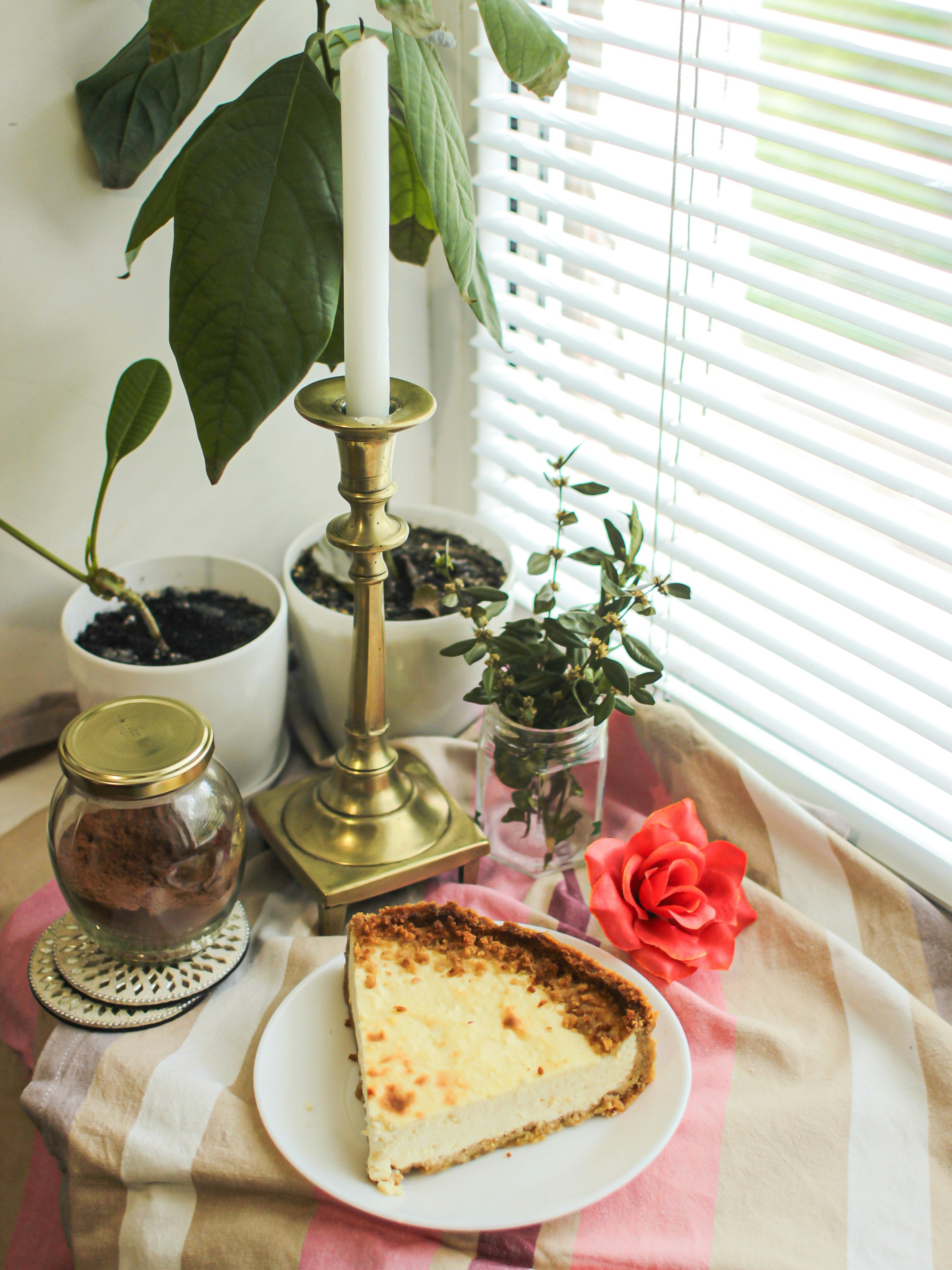 green plant on white ceramic plate