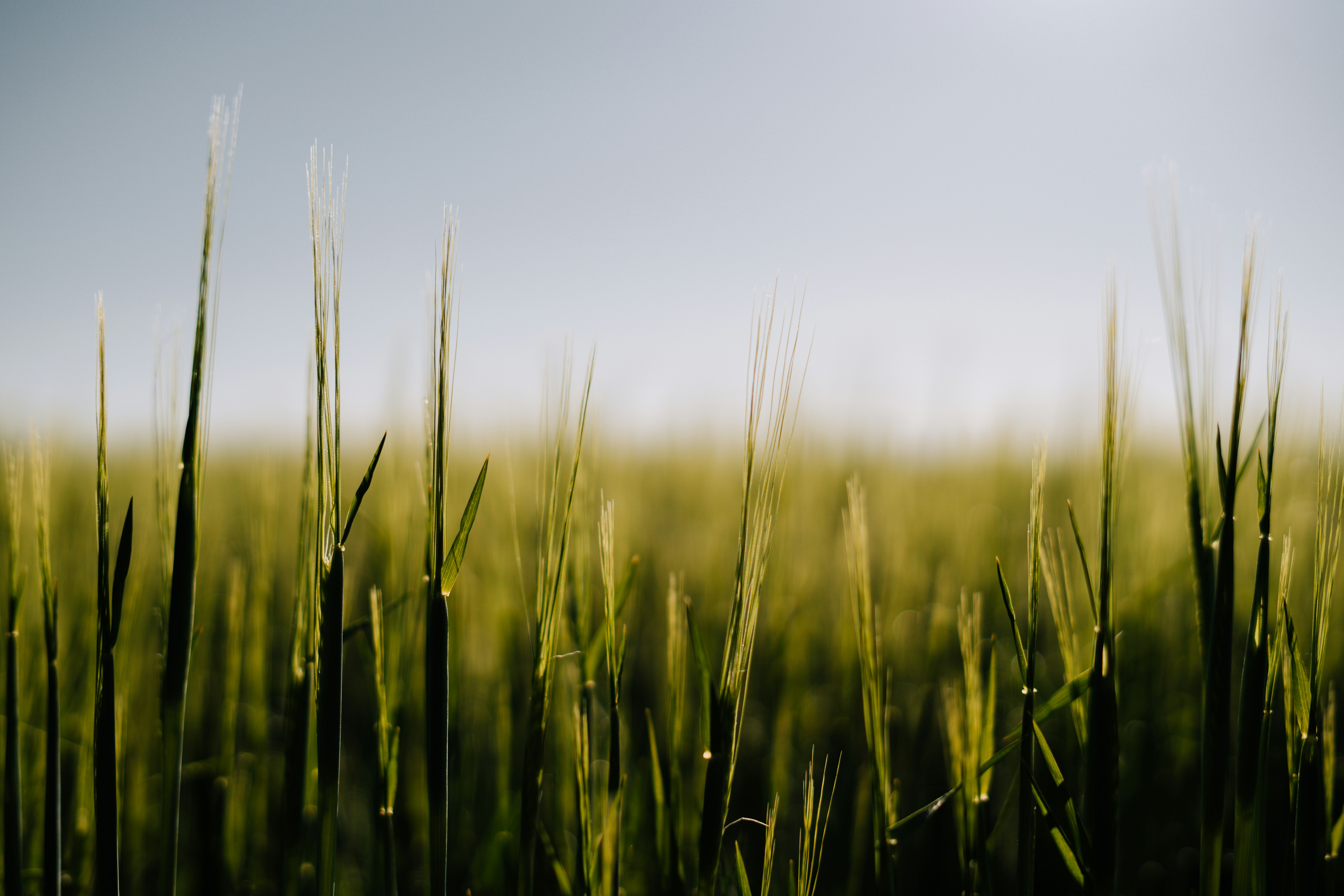 Photo by julianhochgesang