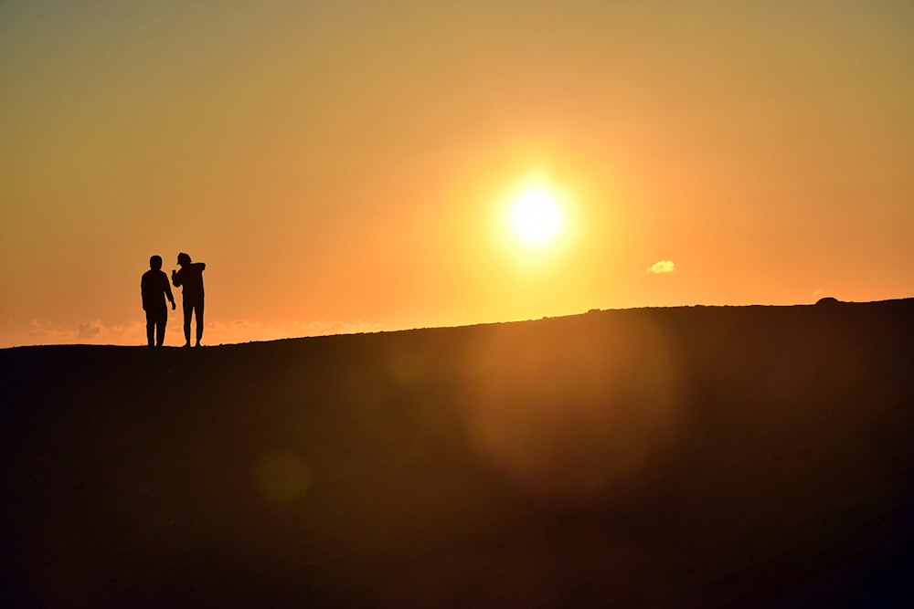 silhouette of 2 person standing on field during sunset