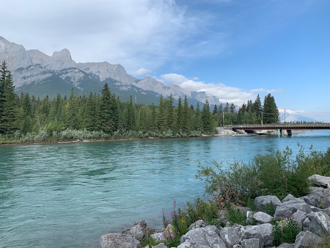 River photo spot 317 8 Ave Bragg Creek