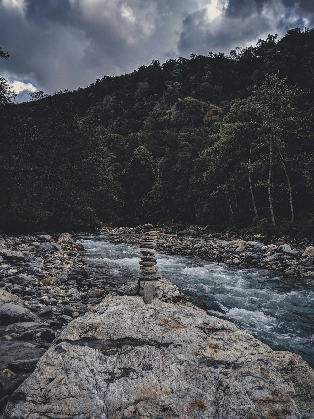 rocky river between green trees under blue sky and white clouds during daytime