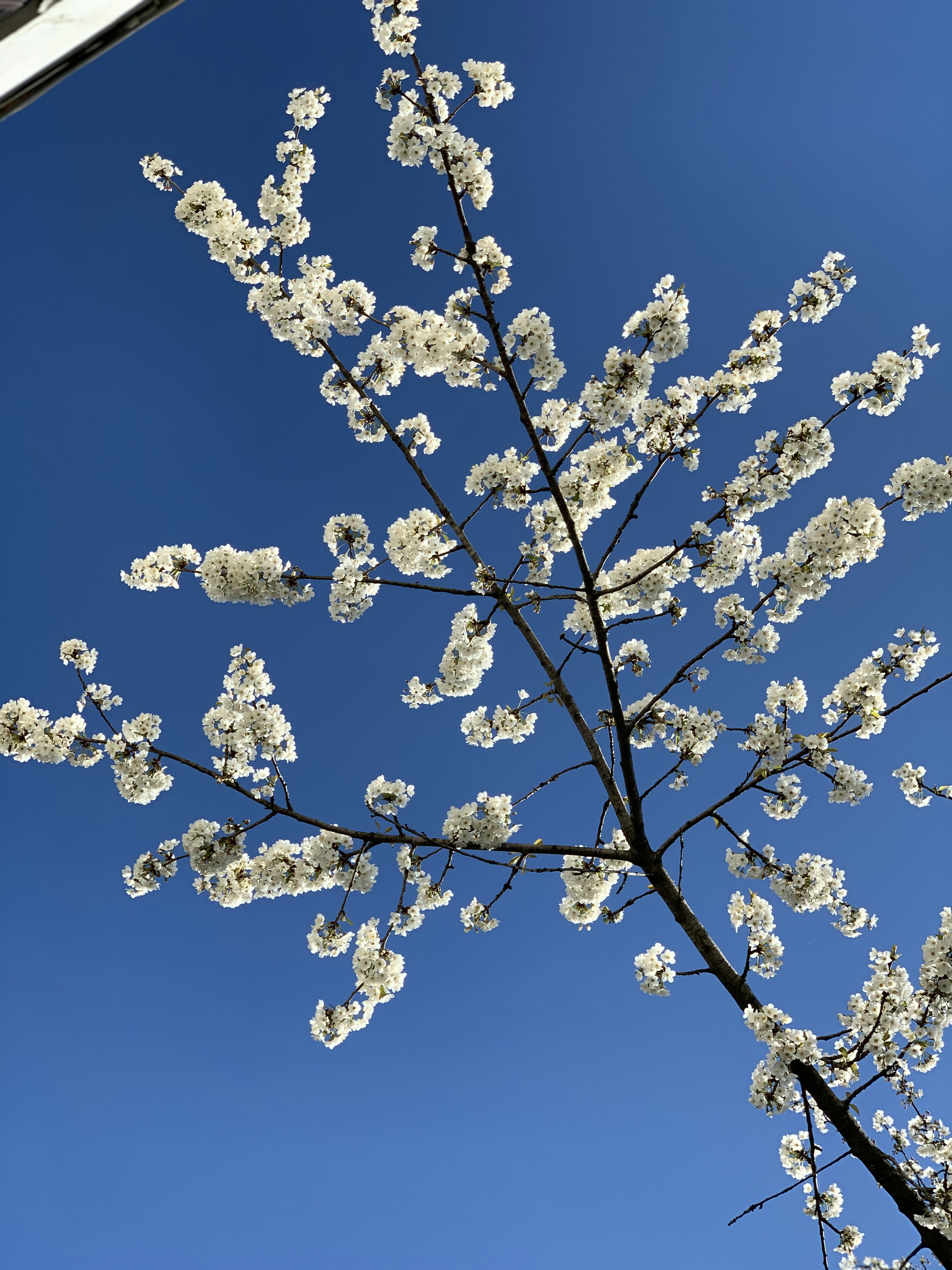 photo-1588749948424-7fa177f93a84?ixid=M3