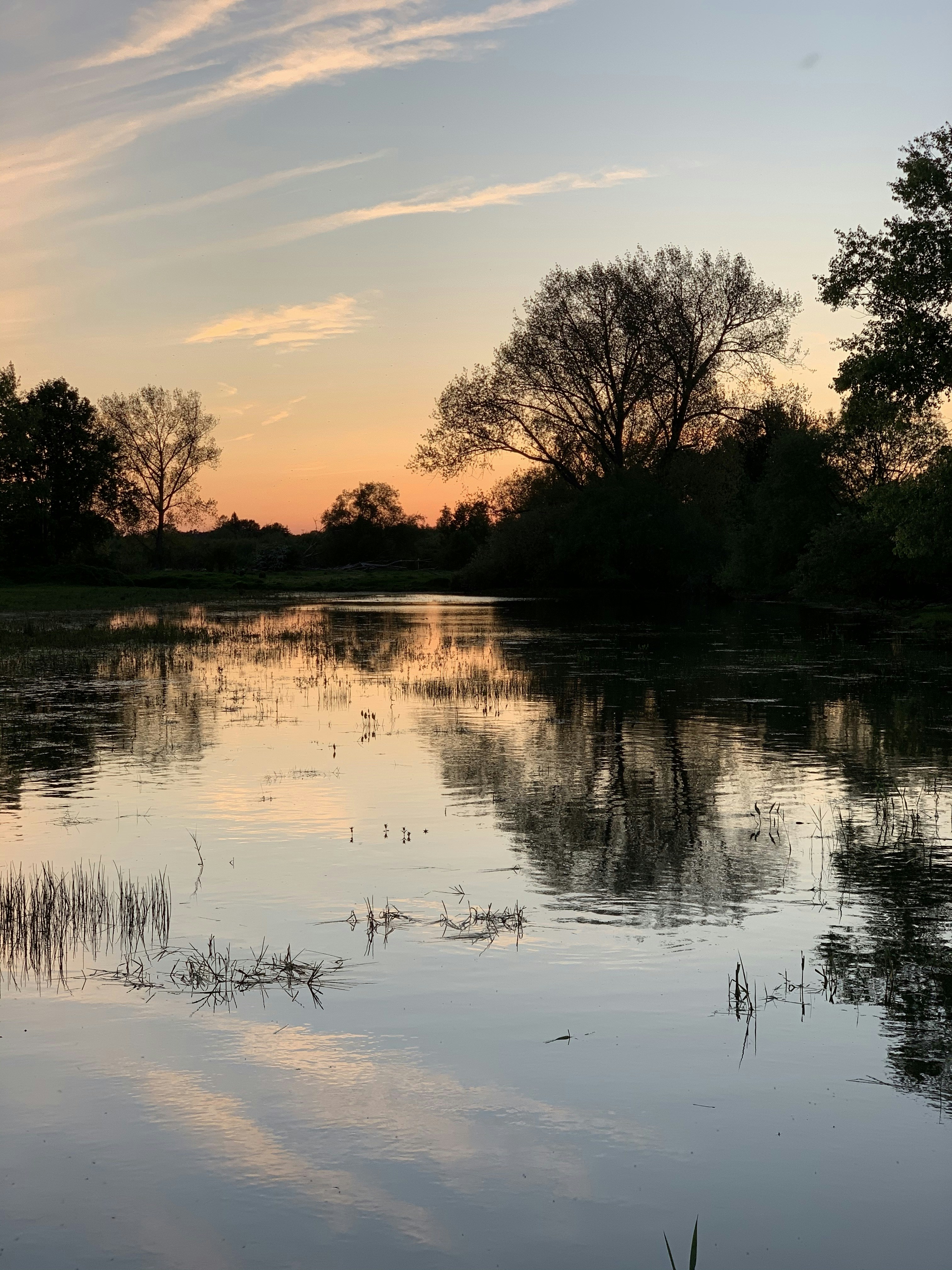 body of water near trees during sunset