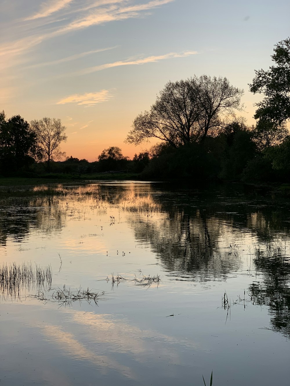 body of water near trees during sunset