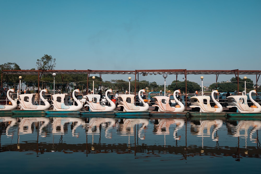 people riding on white and blue boat on water during daytime