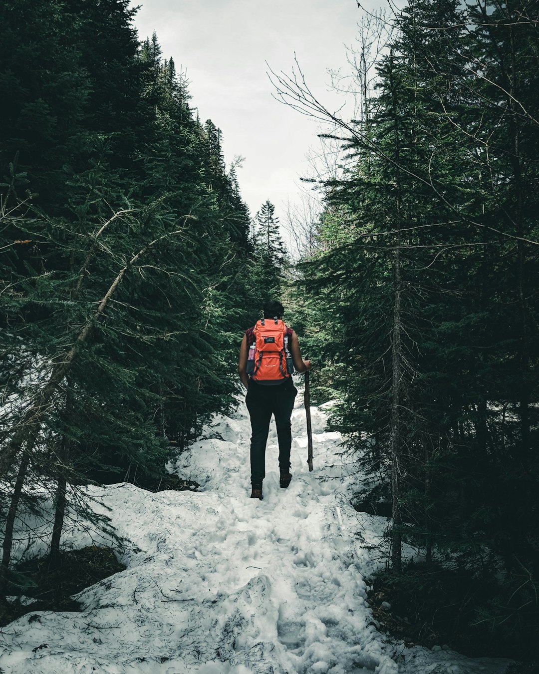 person in red jacket standing on snow covered ground