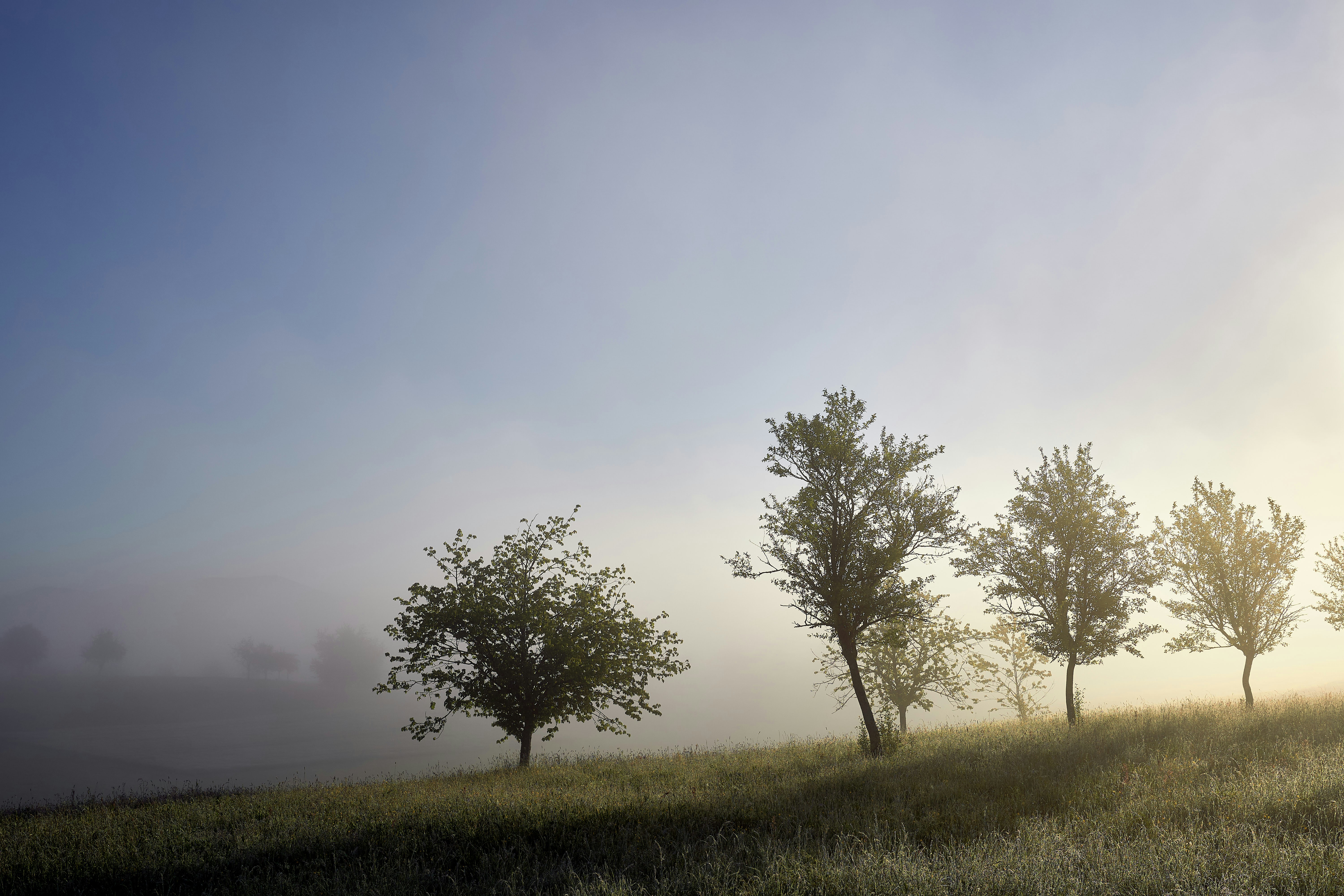 Photo by wolfgang_hasselmann