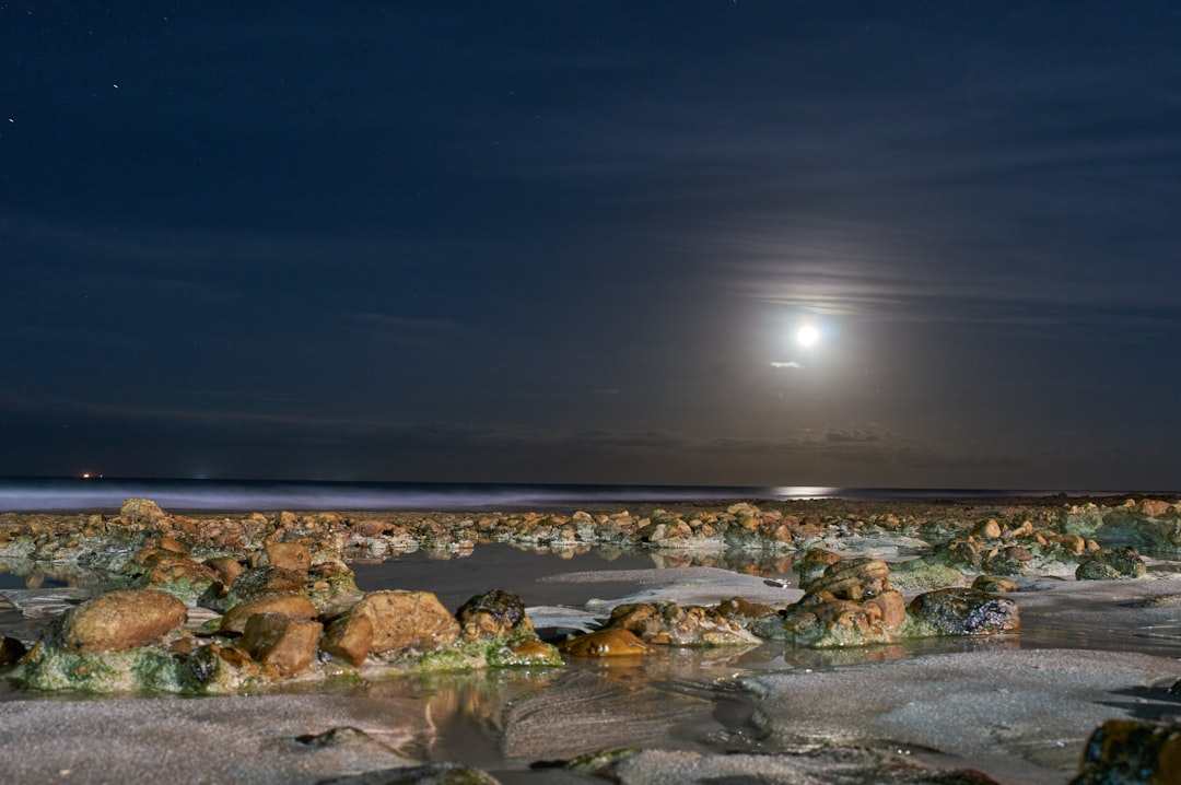 brown rocks on seashore during night time