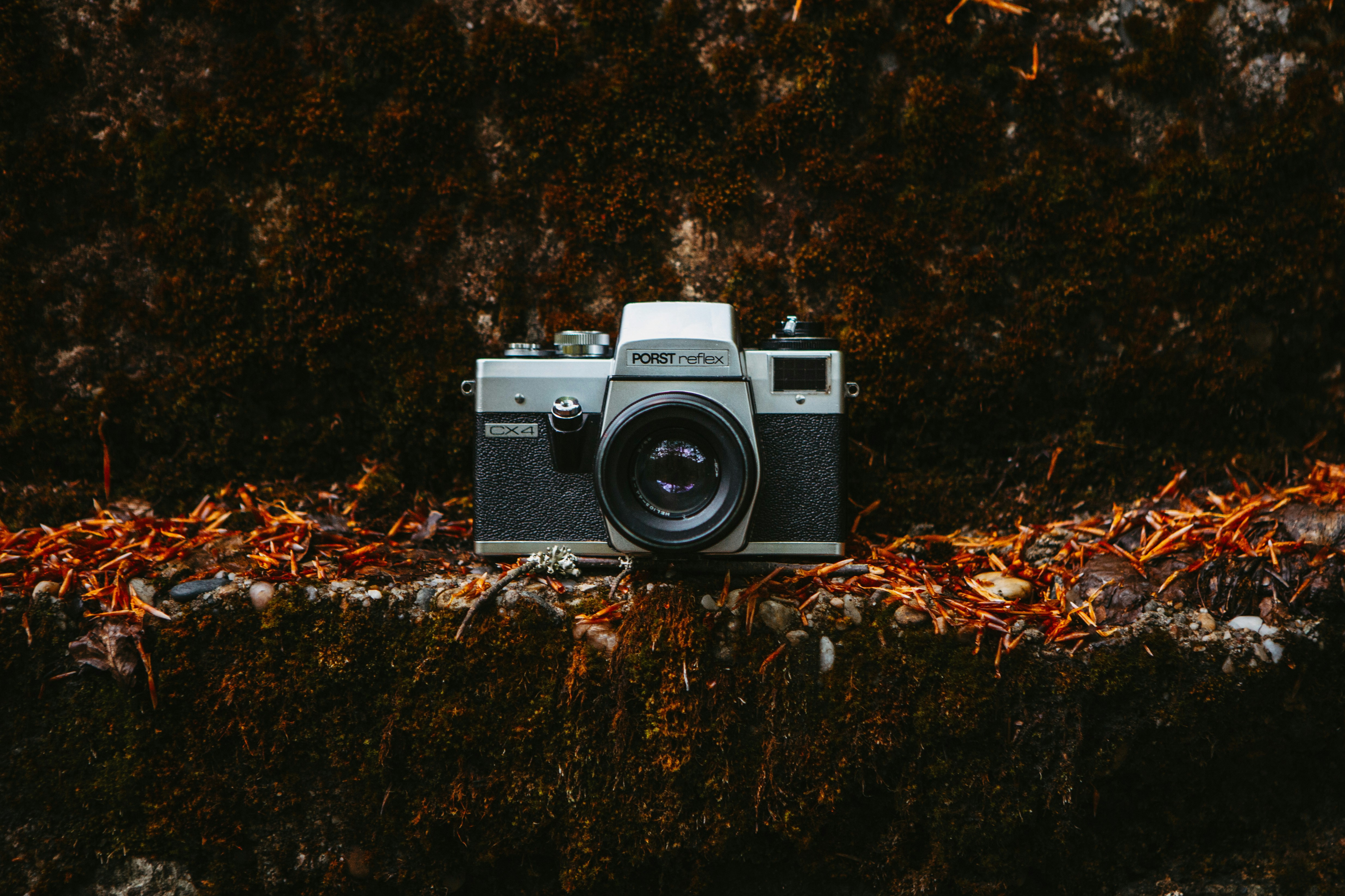 Photo by sandorlucas