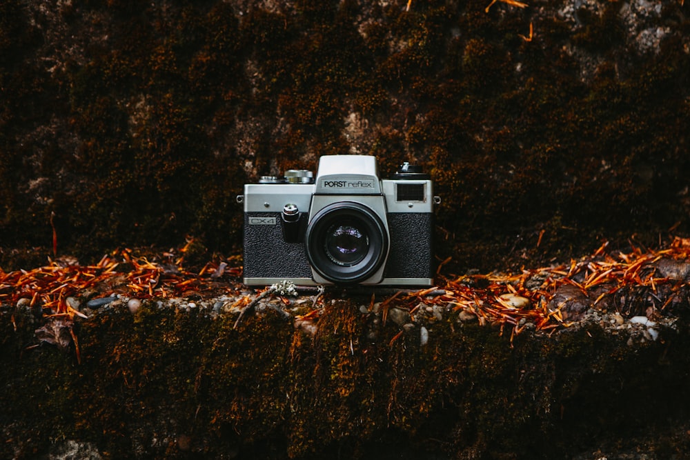 black and silver dslr camera on brown dried leaves