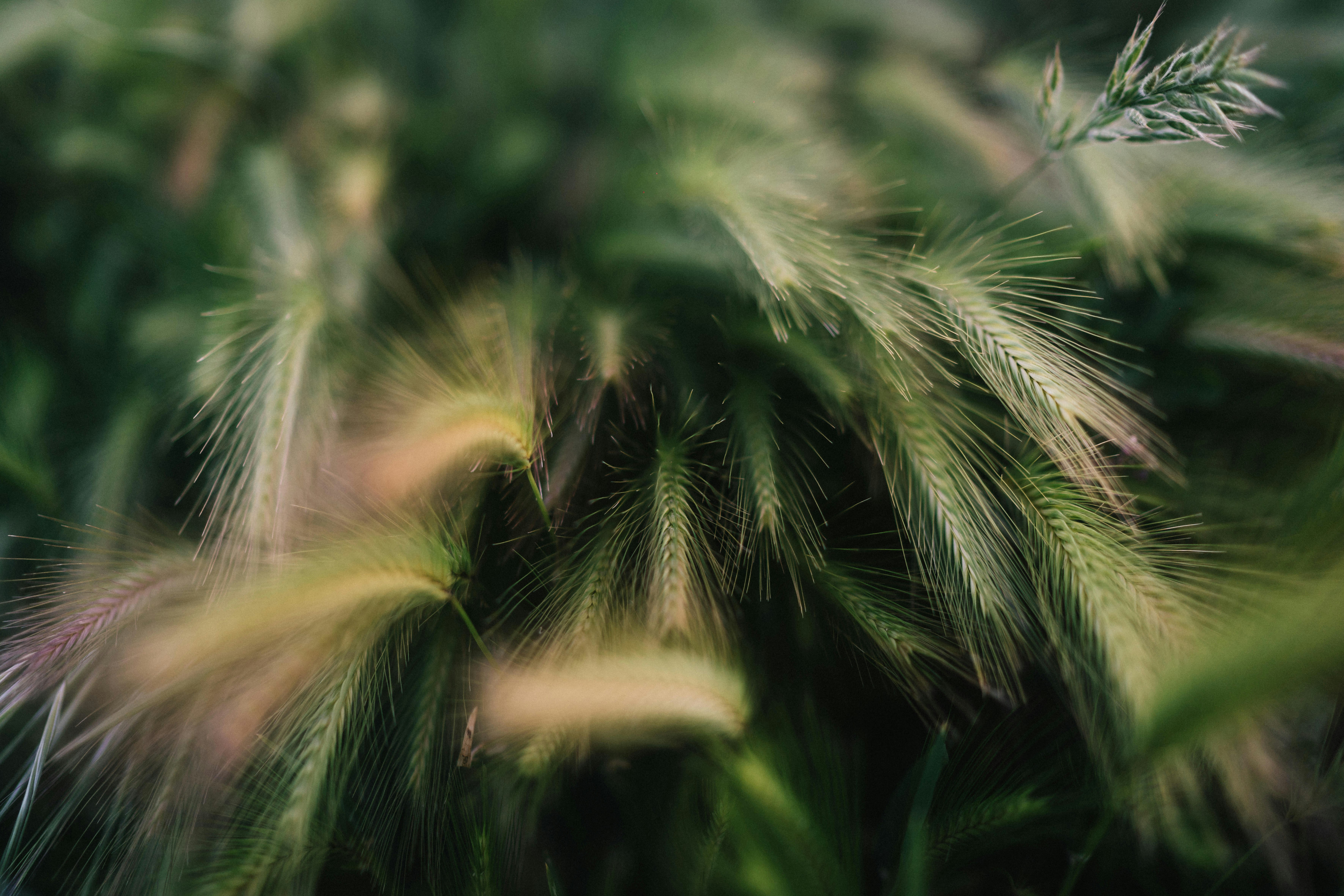 Photo by federicaariemma