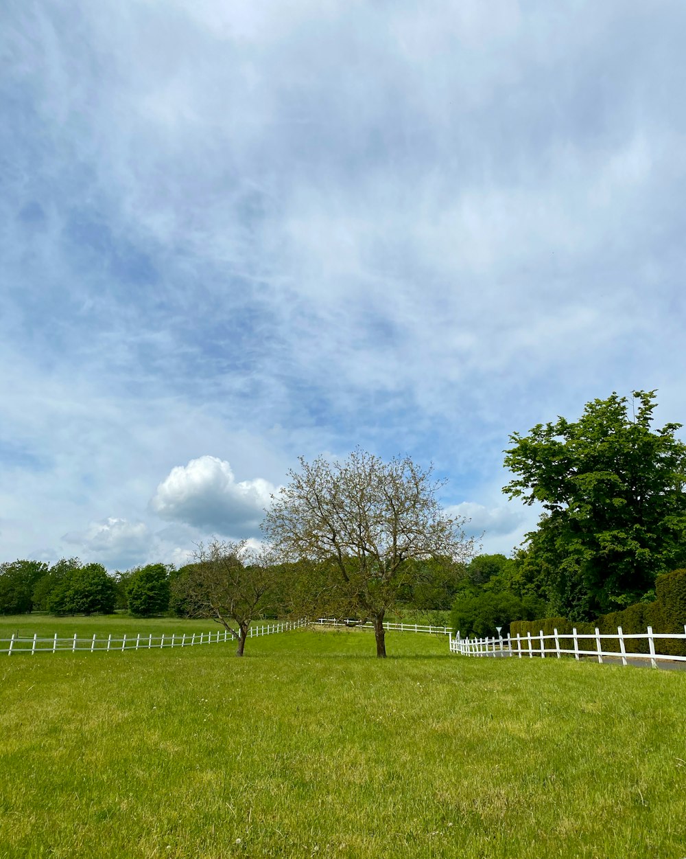 green grass field with trees under white clouds and blue sky during daytime