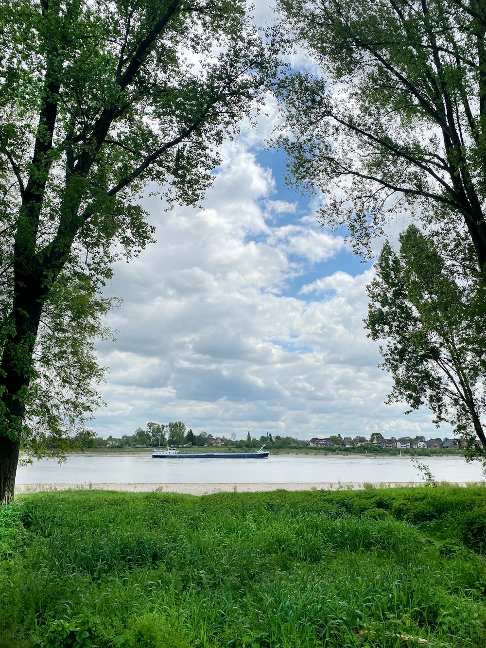 green trees near body of water under white clouds and blue sky during daytime