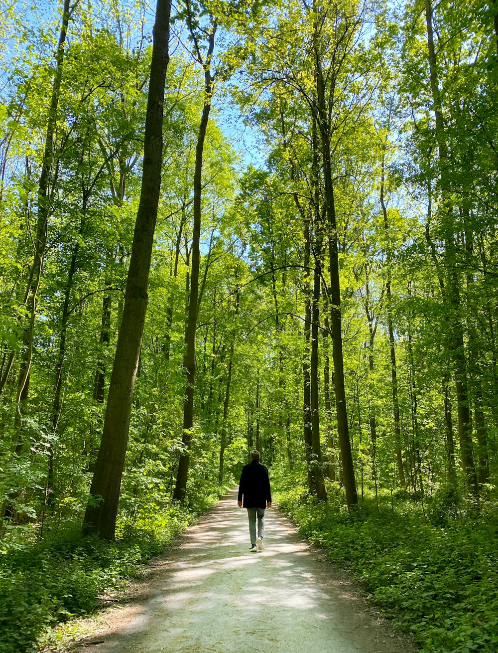 personne marchant sur un sentier au milieu de la forêt pendant la journée