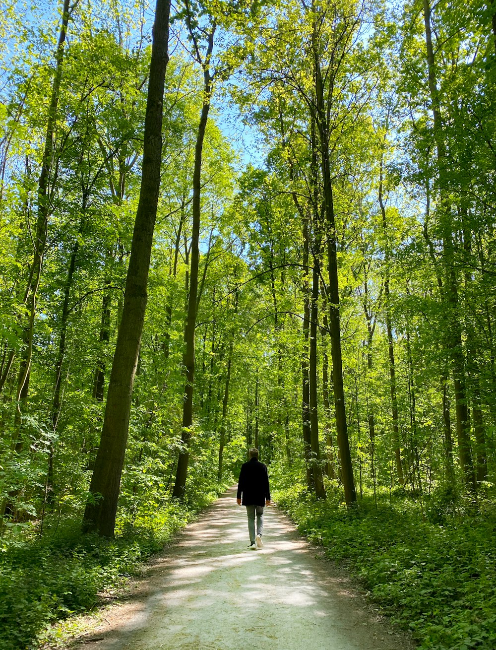 persona che cammina sul sentiero in mezzo alla foresta durante il giorno