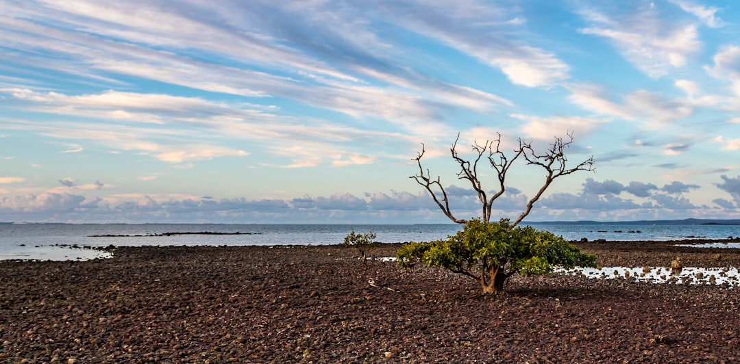 Shore photo spot Cleveland Queensland Burleigh Head National Park