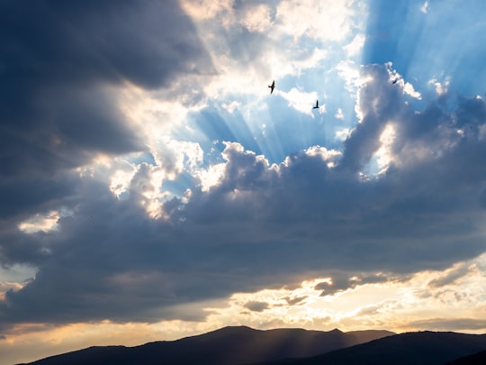 silhouette of birds flying over the clouds during sunset in Shipka Bulgaria