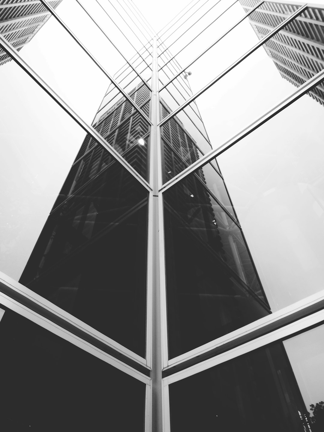 grayscale photo of glass walled building