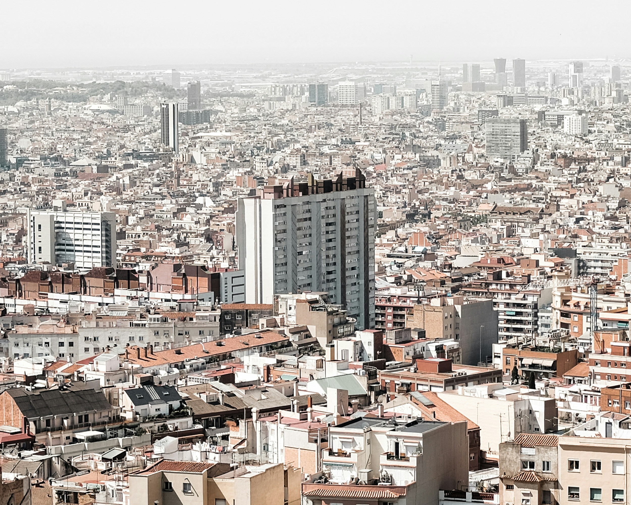 Image by Robert Musca via Unsplash