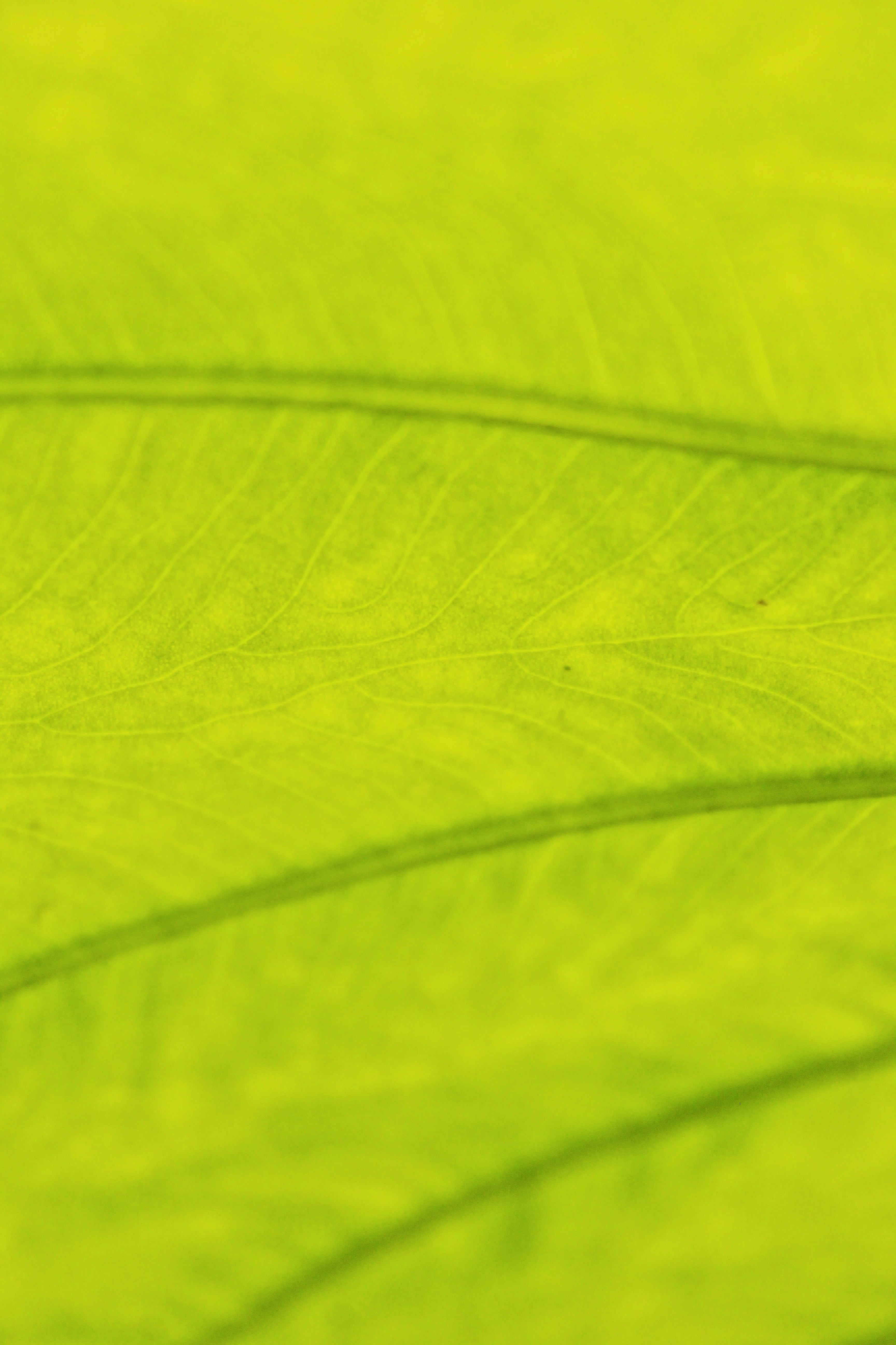 Photo by eyeswithmyopia