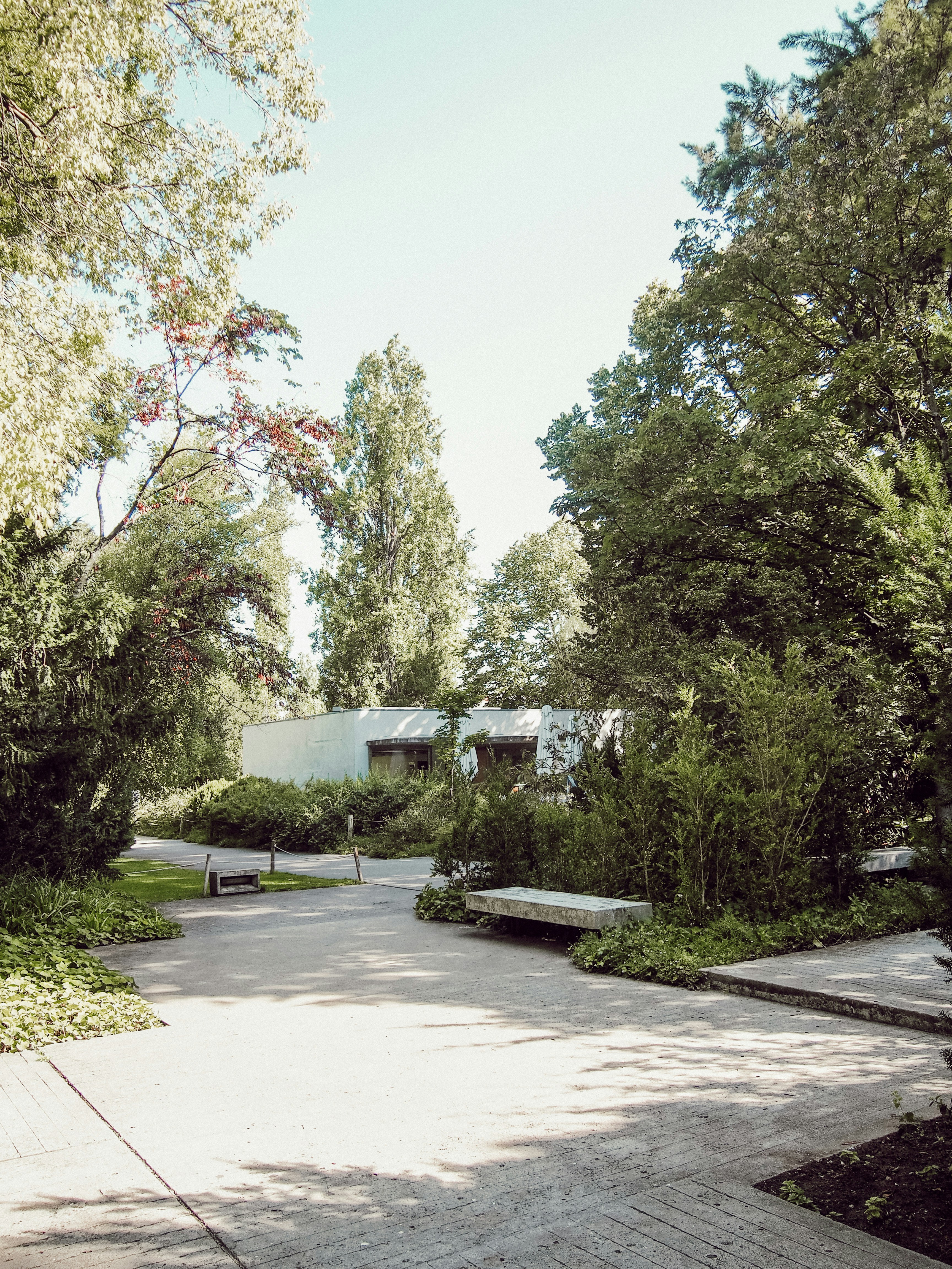 Photo by marianarascao