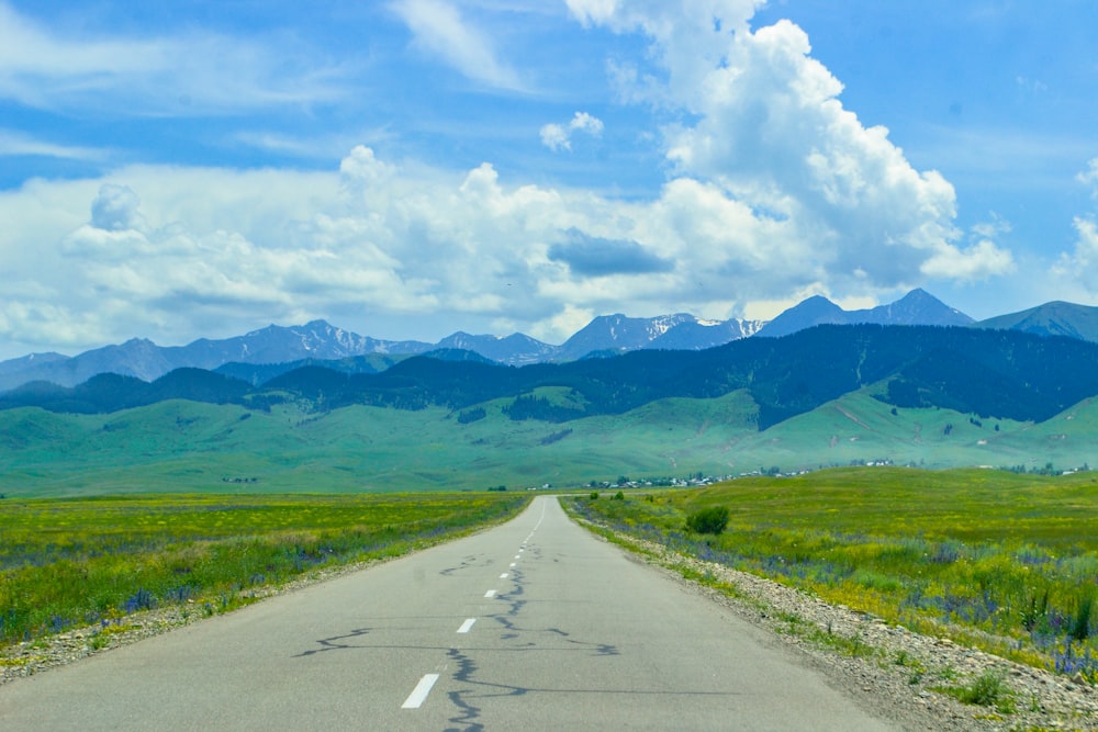 gray concrete road between green grass field under white clouds and blue sky during daytime