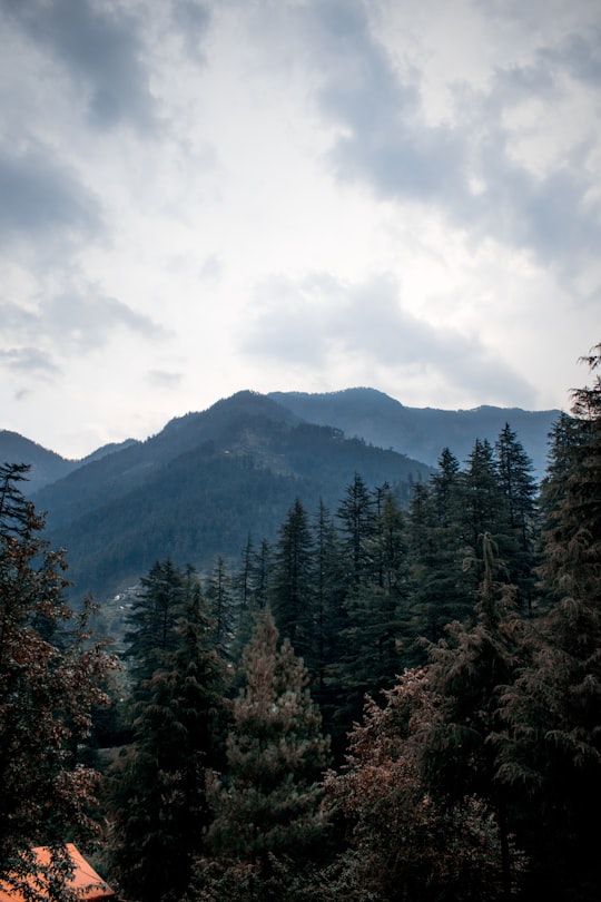 green pine trees on mountain under white clouds during daytime in Himachal Pradesh India