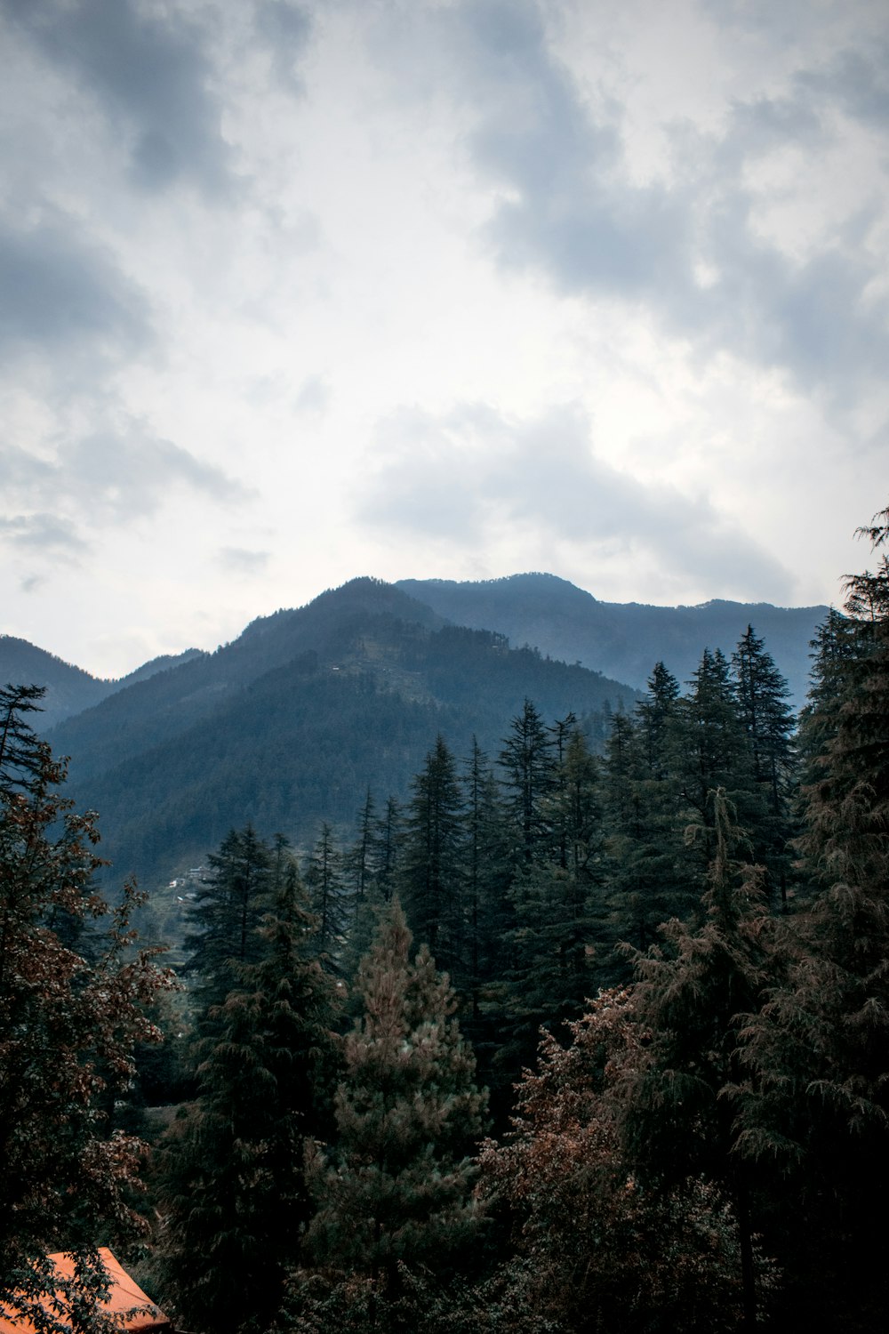 green pine trees on mountain under white clouds during daytime