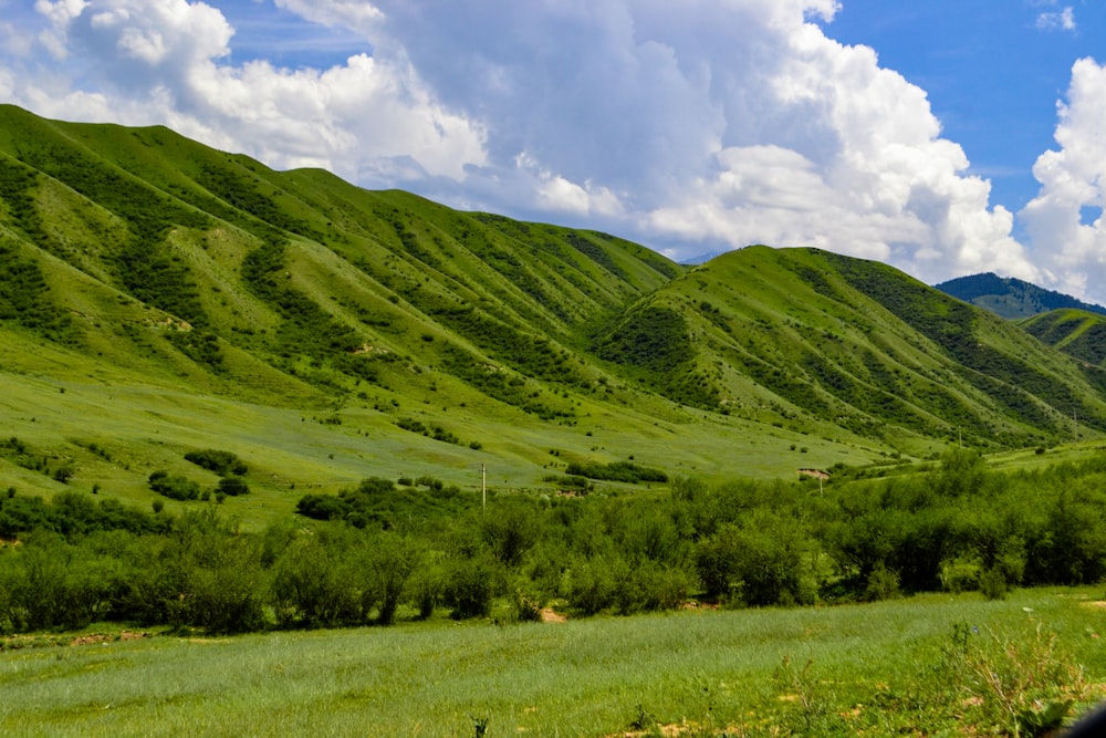 green grass field under white clouds and blue sky during daytime