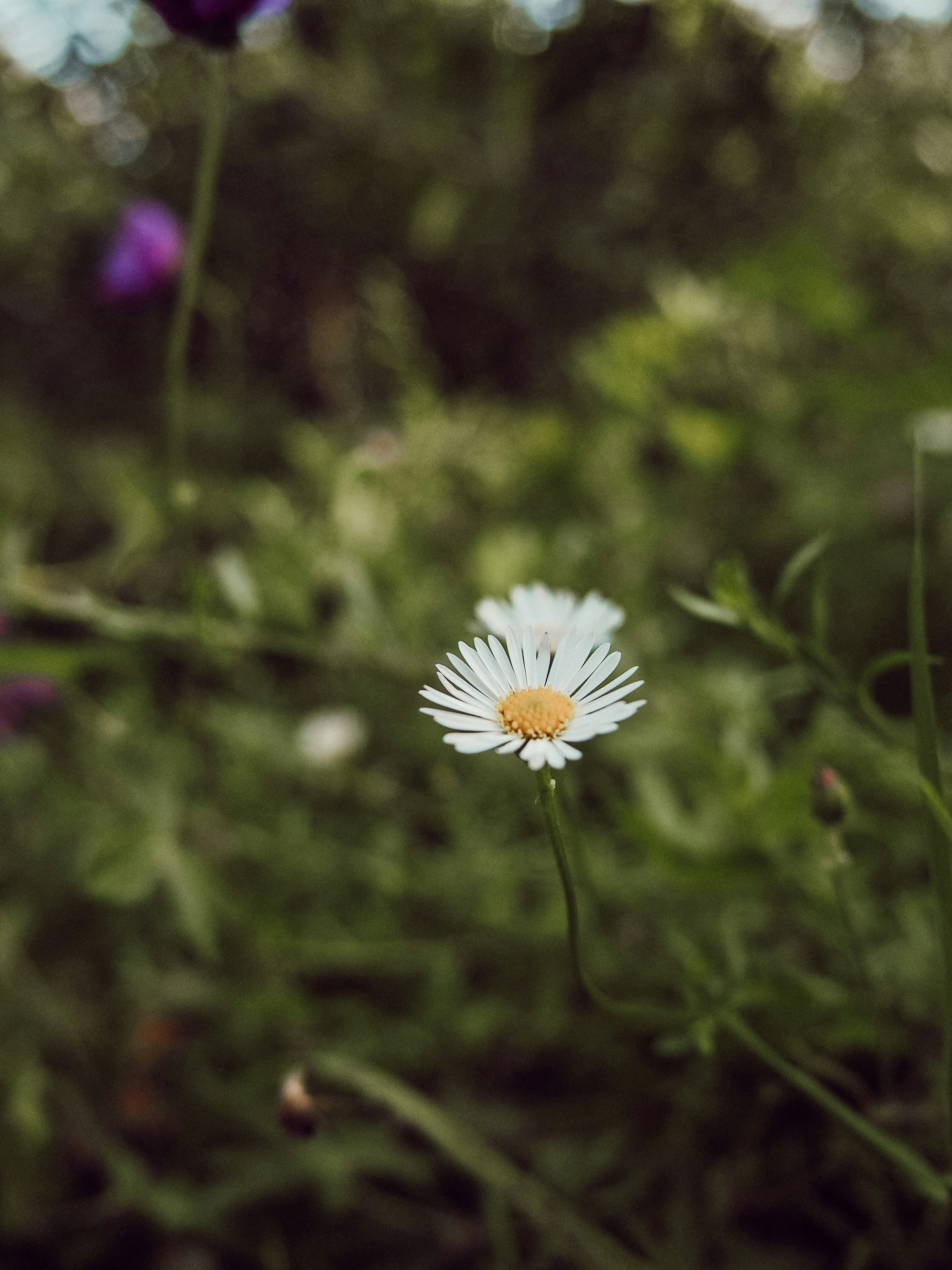 Photo by marianarascao