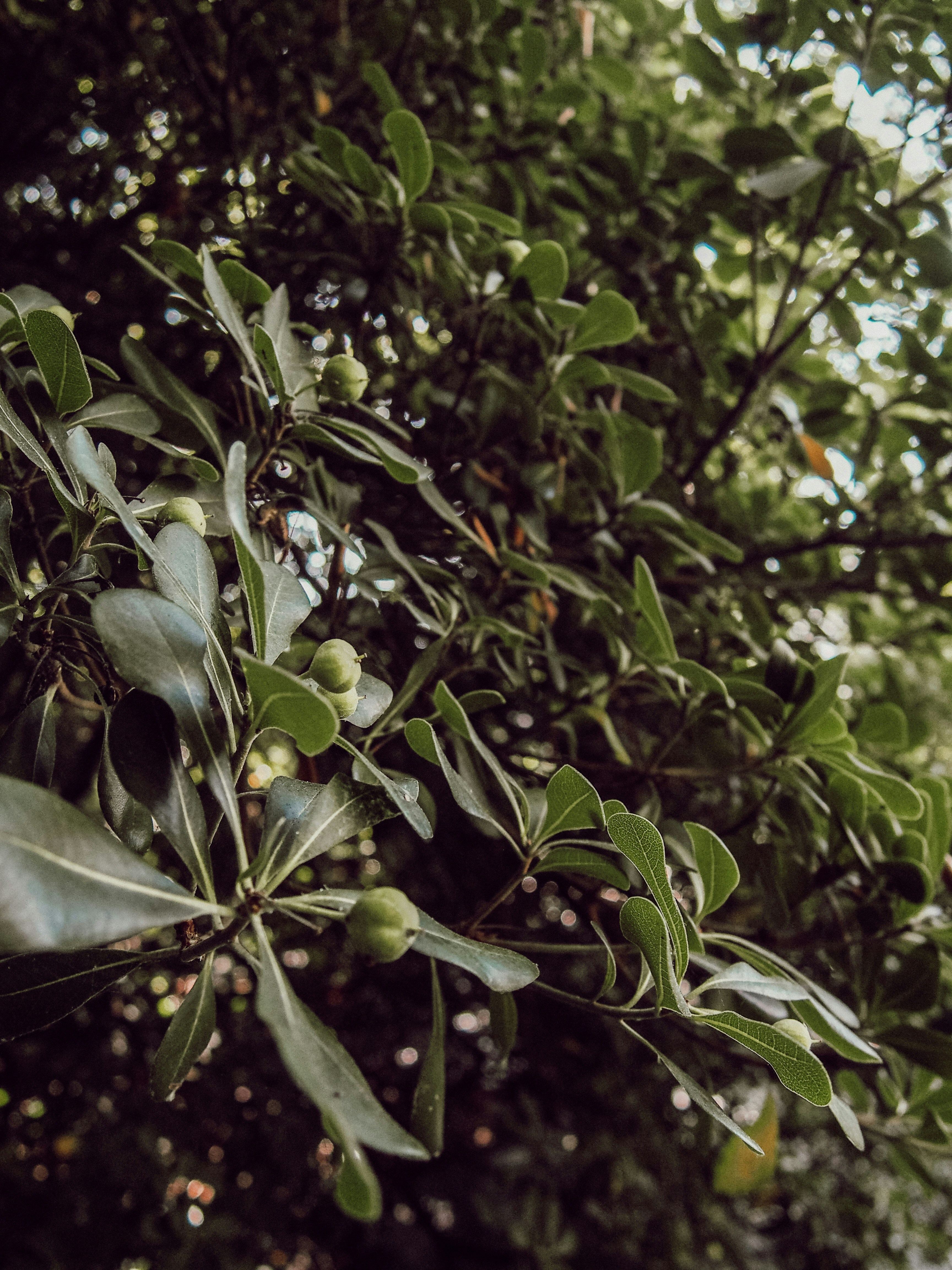 Photo by marianarascao