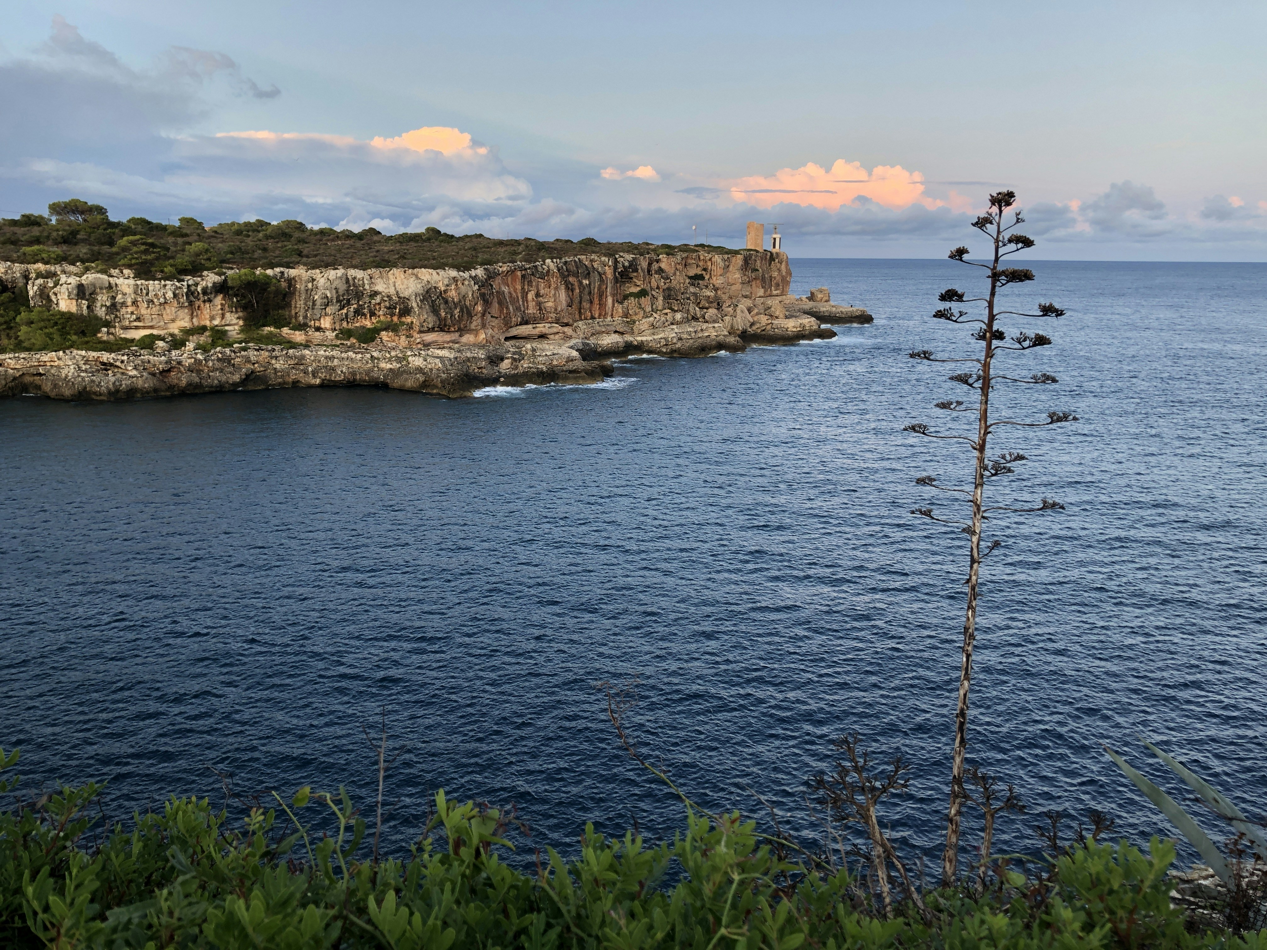 Photo by niklasvako