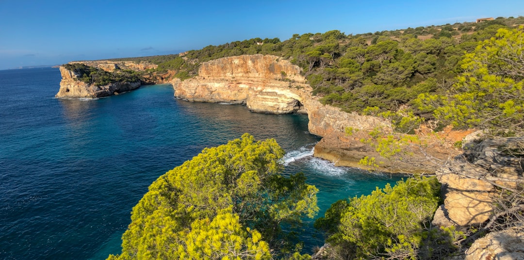 green and brown rock formation beside blue sea during daytime