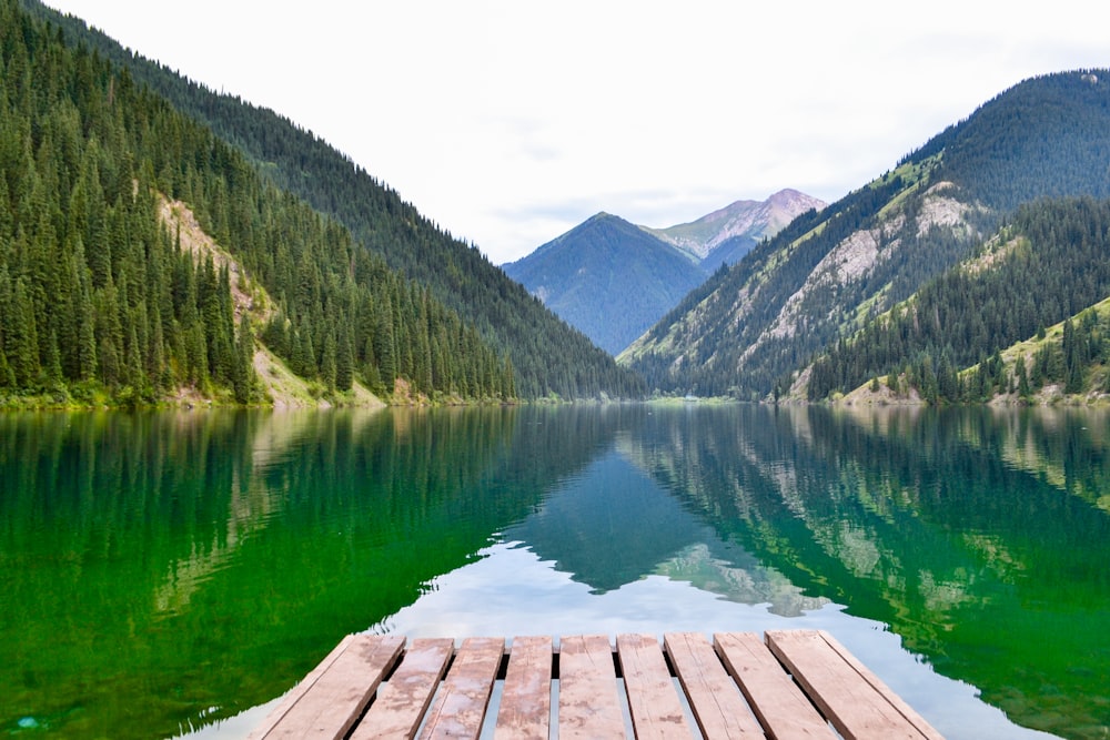 brown wooden dock on lake during daytime