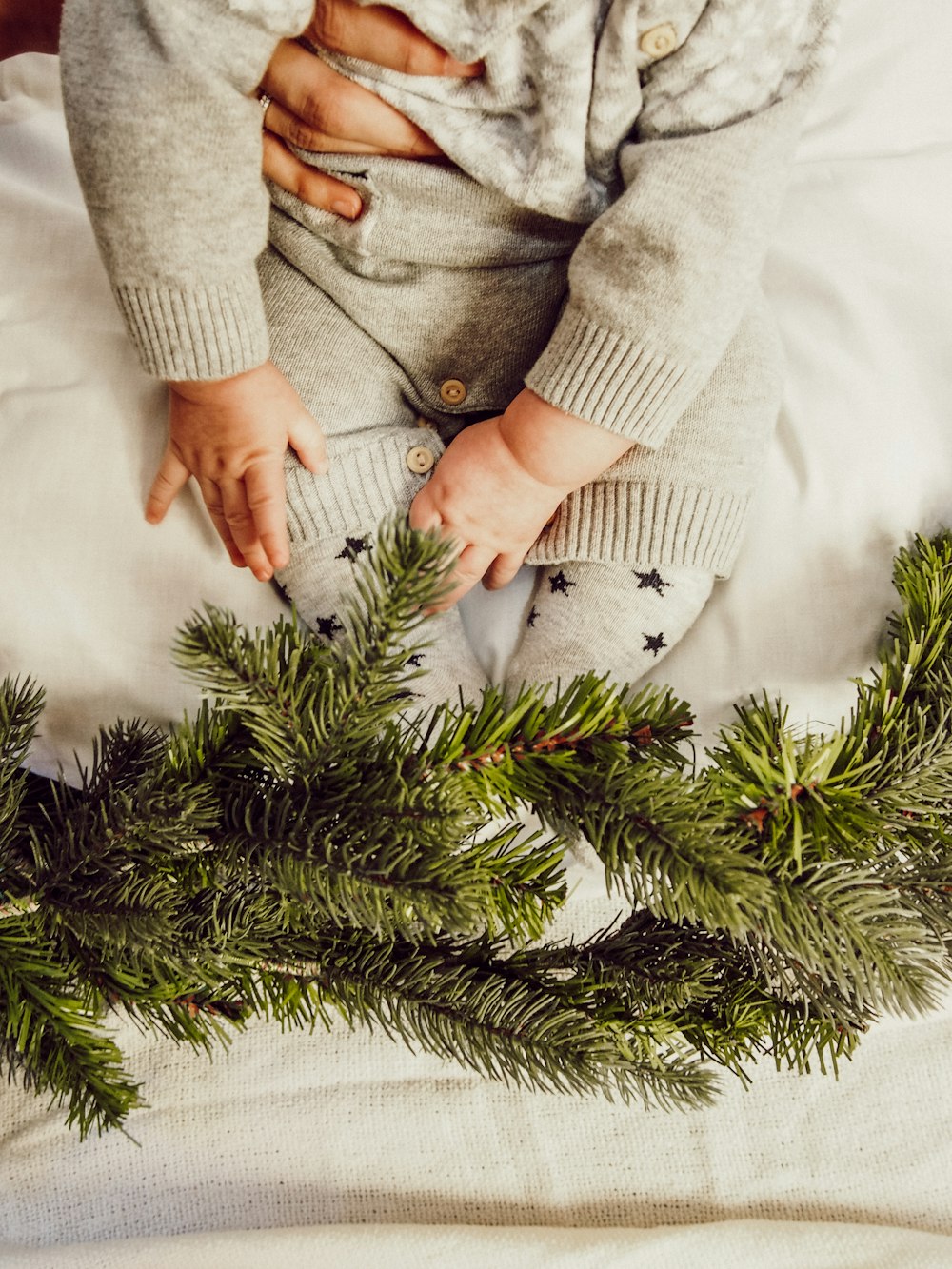 person in gray coat holding green christmas tree