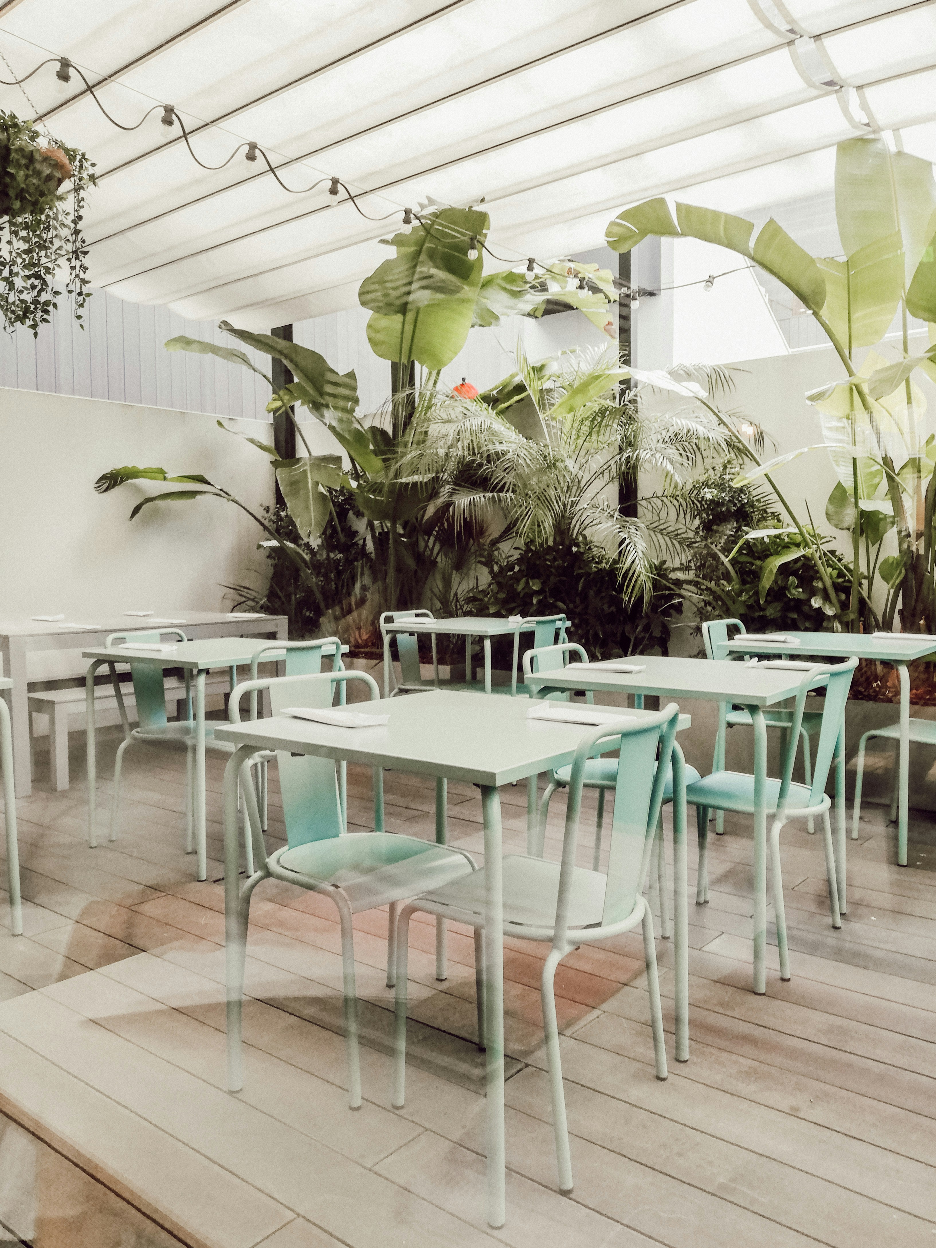 Photo by marianarascao