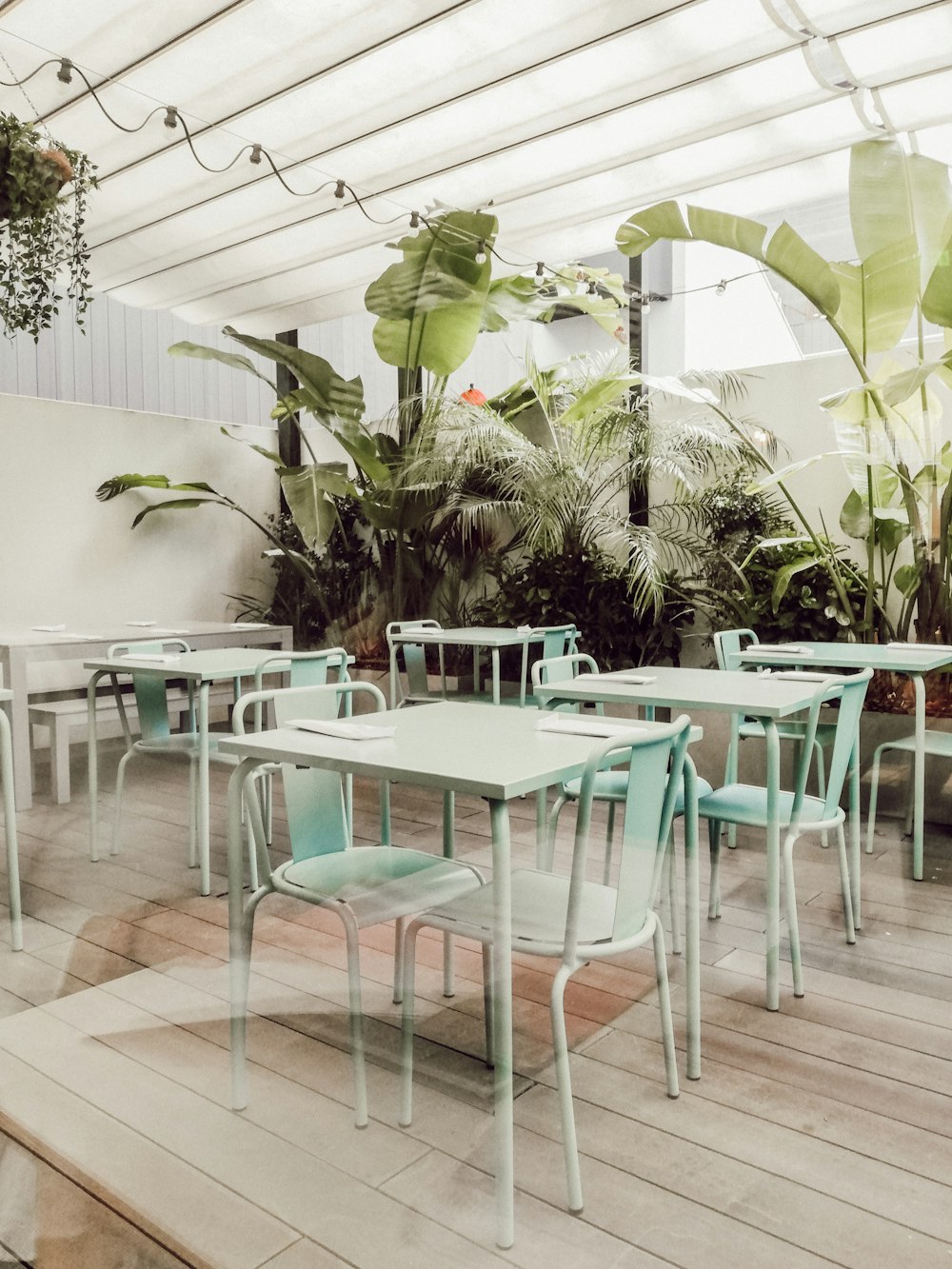 white table with chairs and green plants