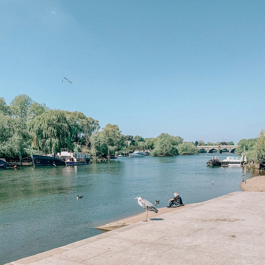 River photo spot Richmond Richmond Bridge