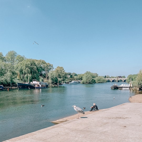 people sitting on concrete dock near body of water during daytime in Richmond United Kingdom