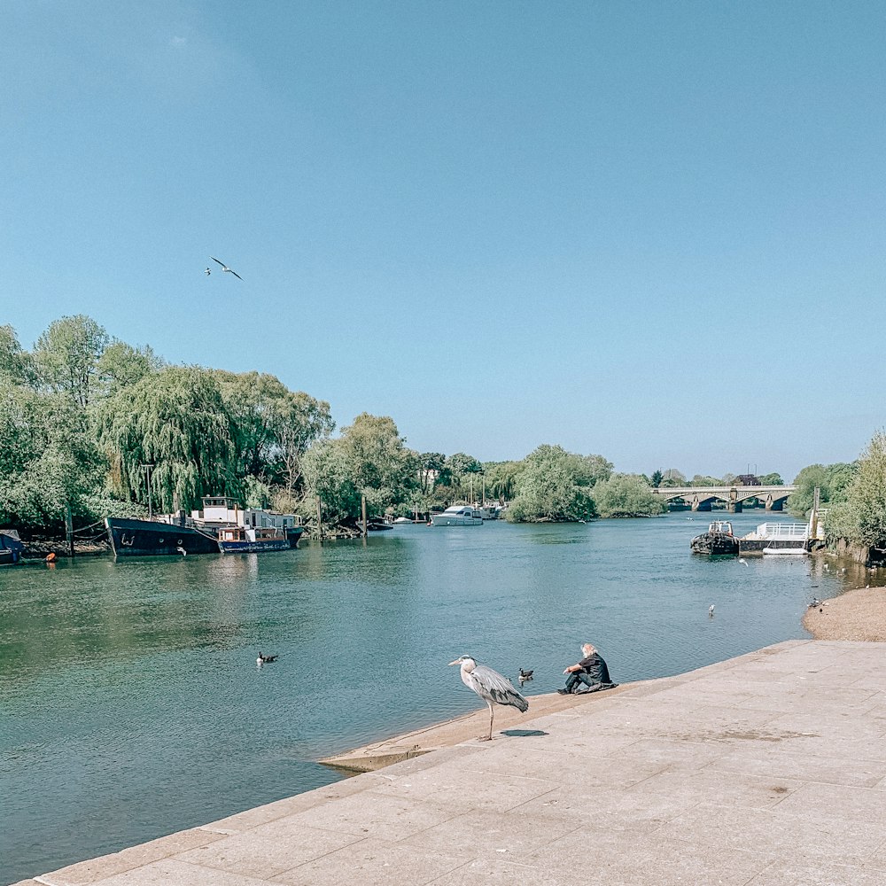 people sitting on concrete dock near body of water during daytime