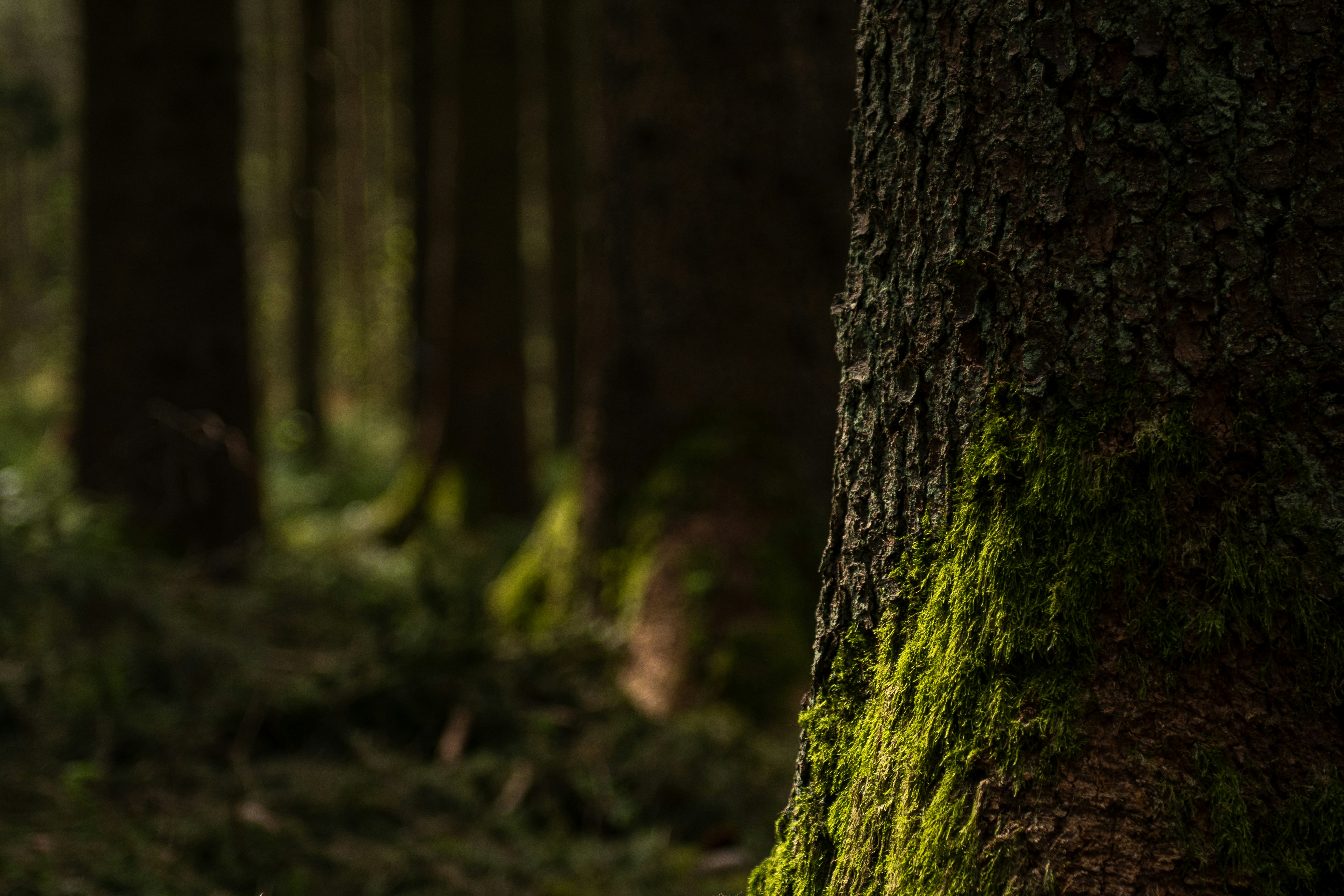 Photo by peterneumann