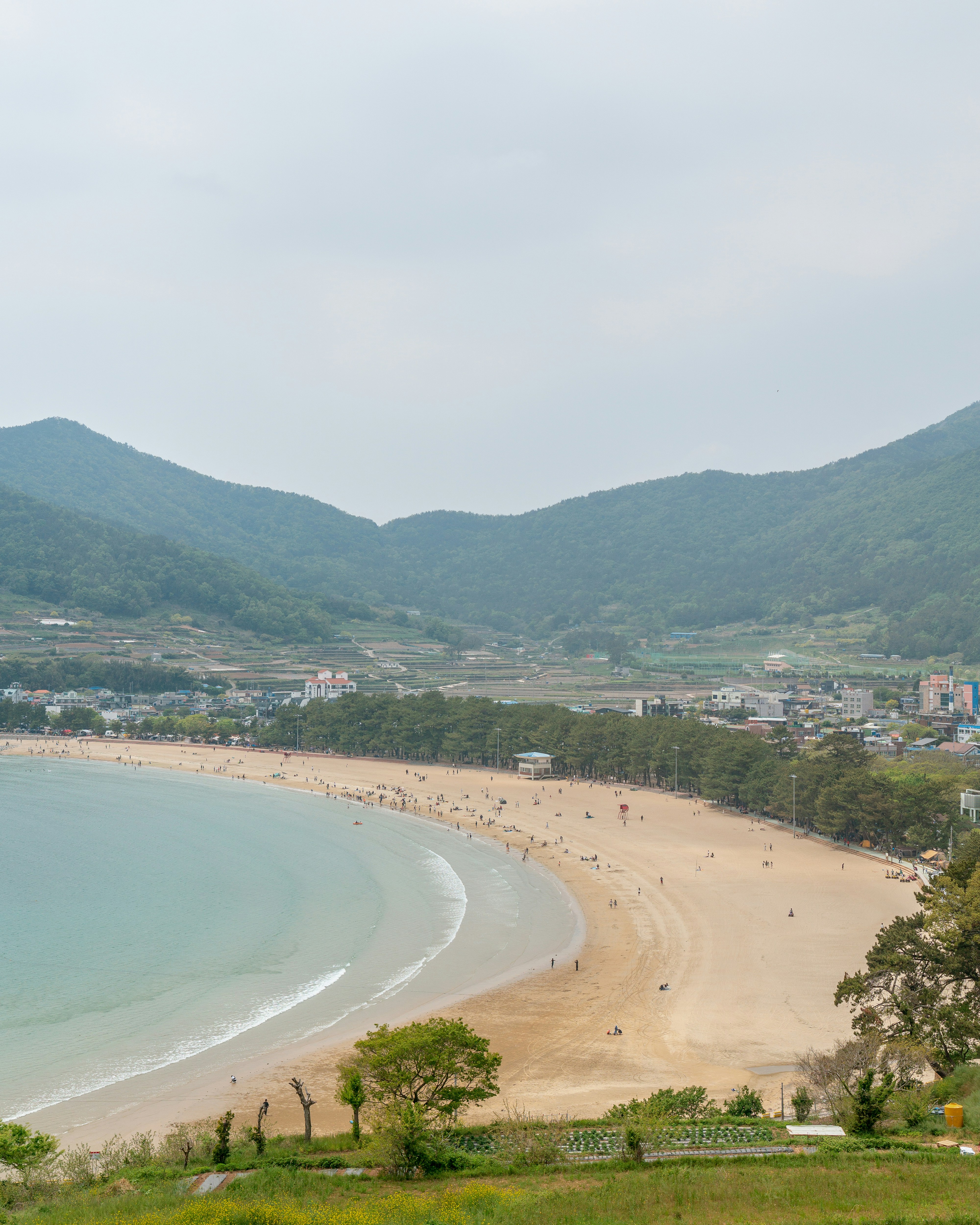 people on beach during daytime