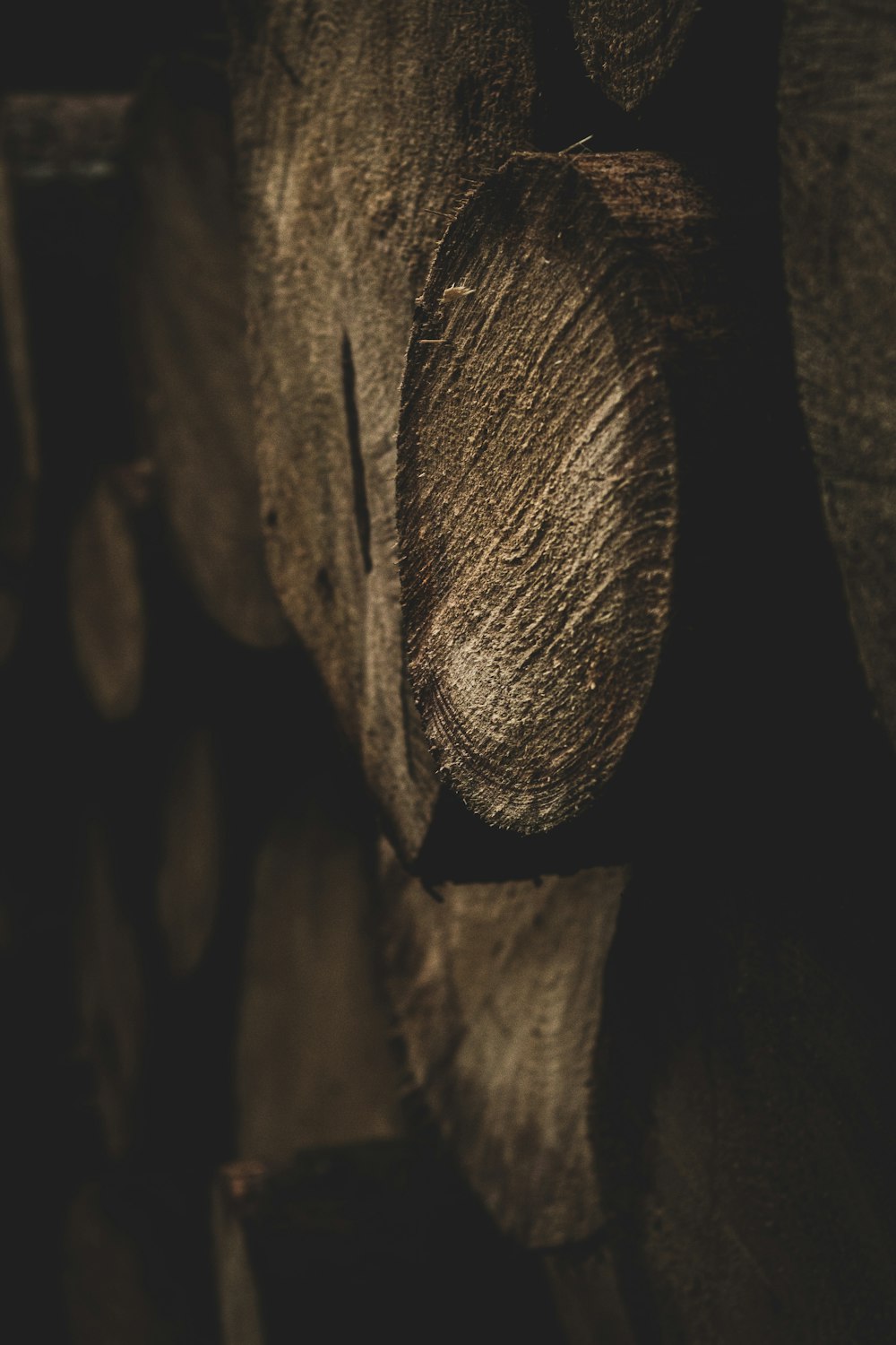 brown wooden tree trunk in grayscale photography