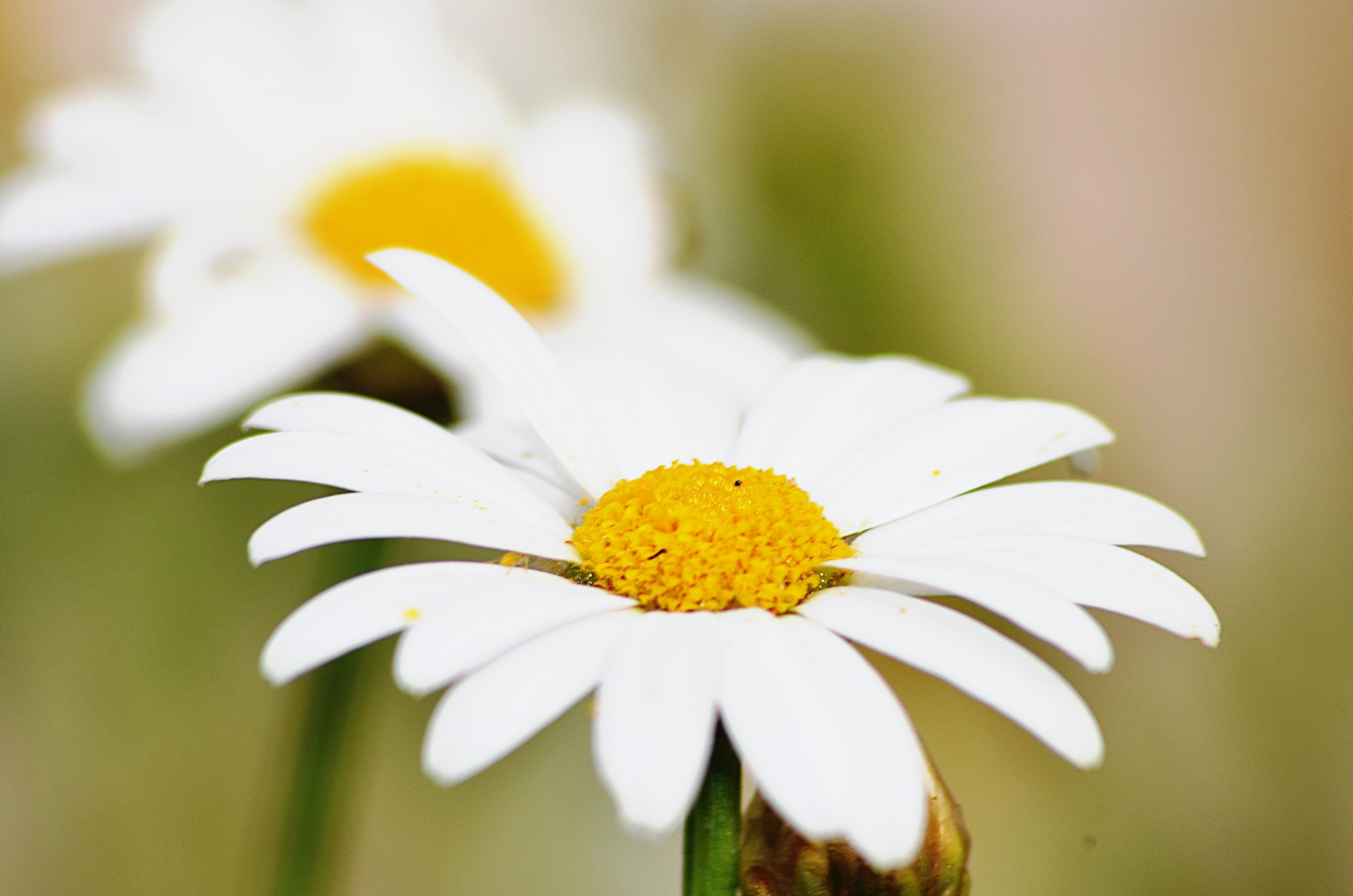 Photo by soufiane_photo_focus