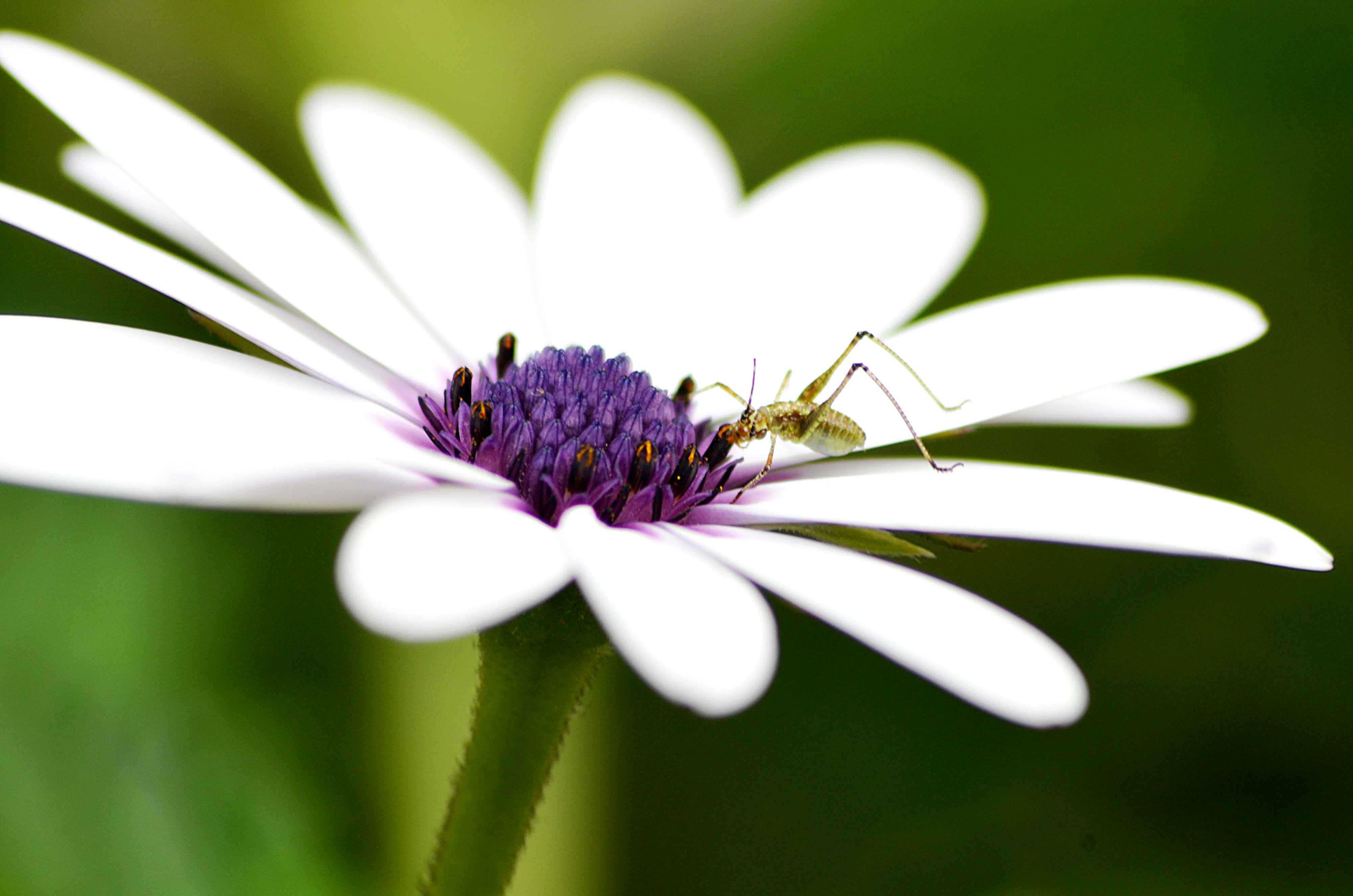 Photo by soufiane_photo_focus