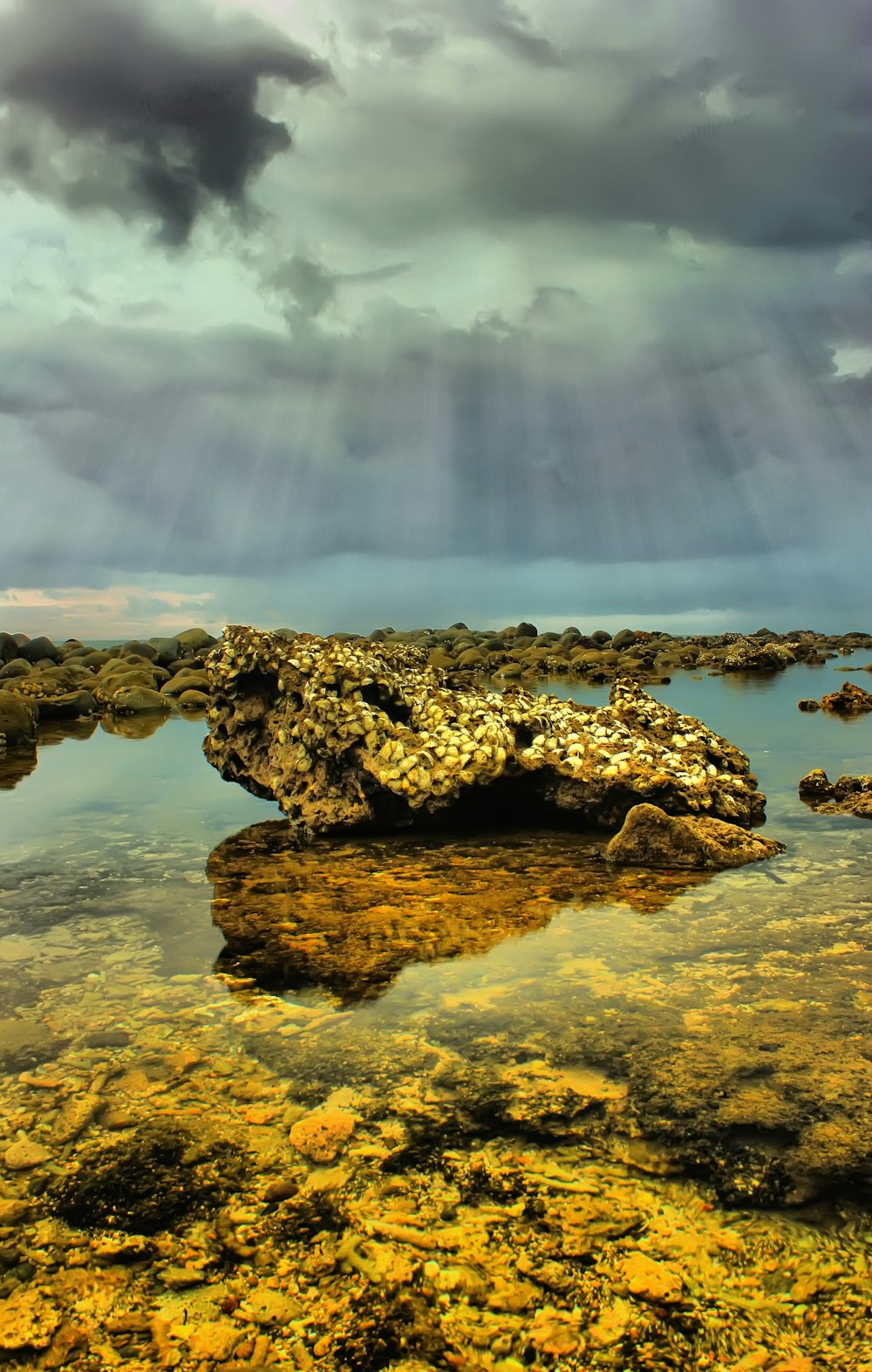 brown rock formation on body of water