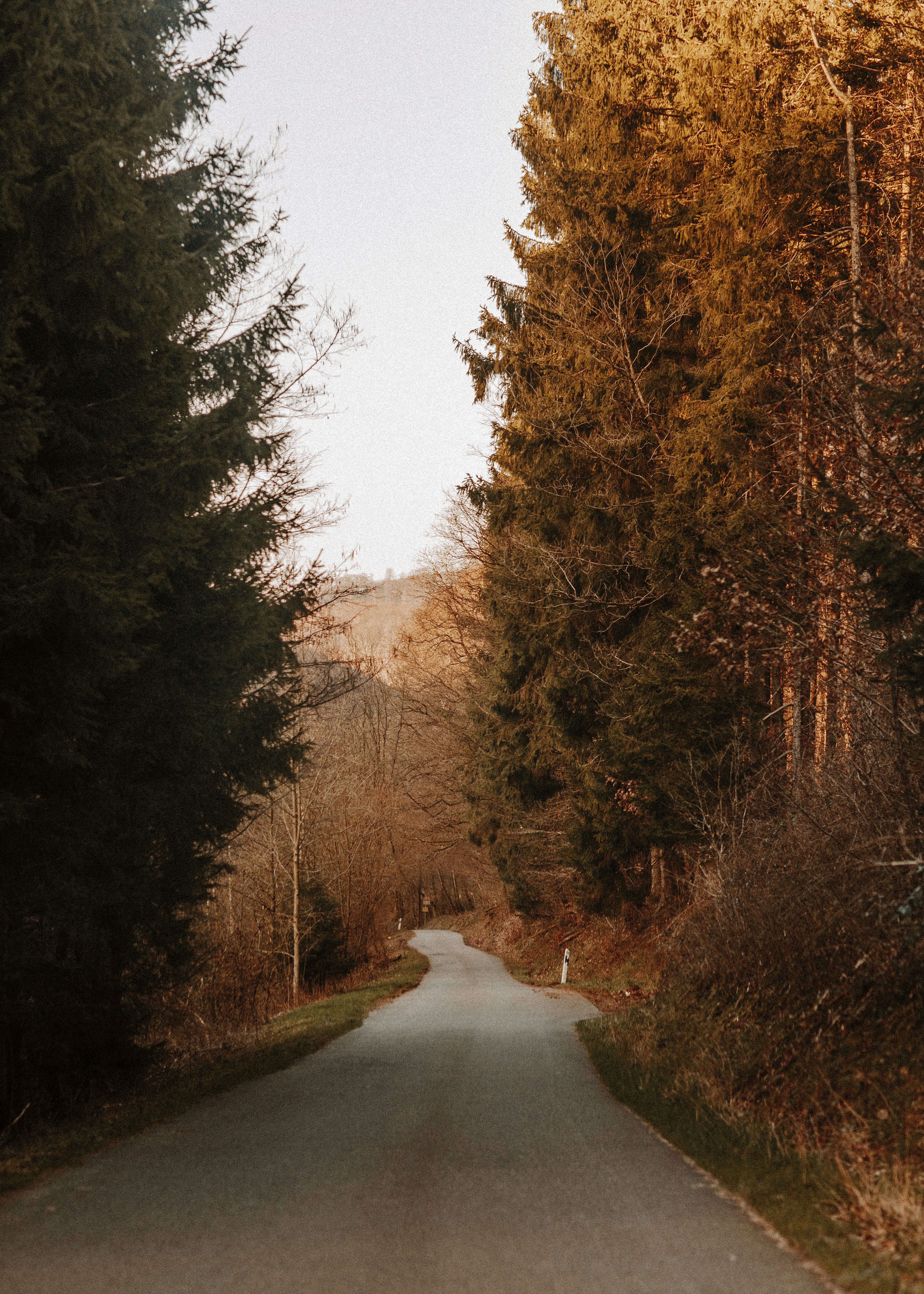 Photo by giorgiiremadze