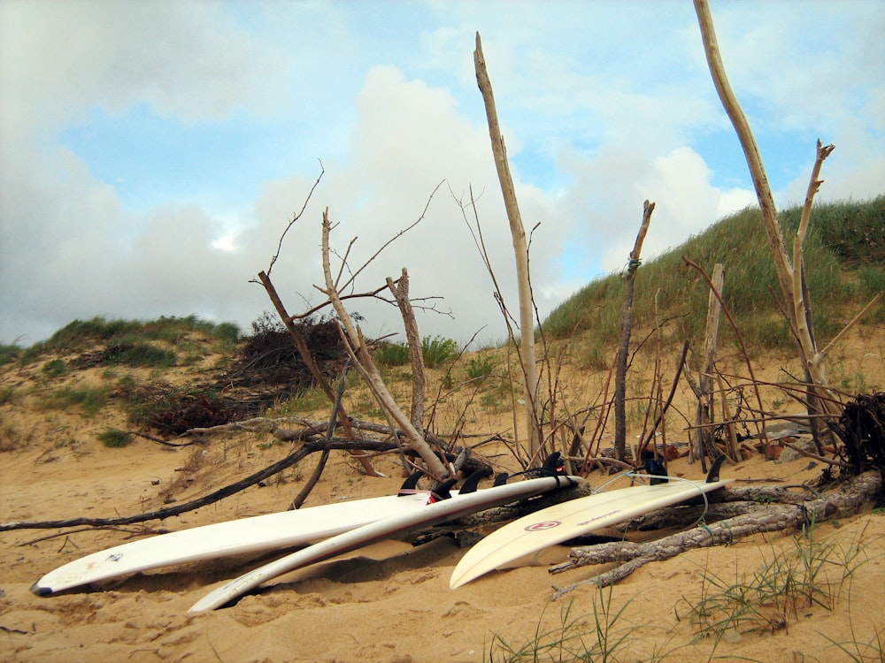white kayak on brown sand during daytime